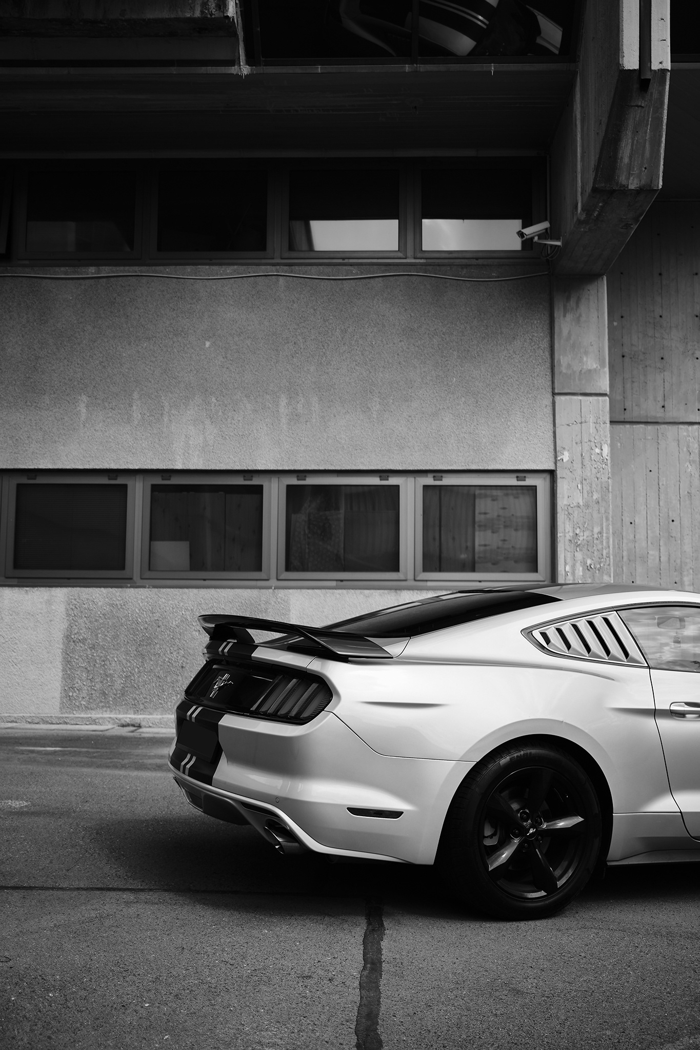 Mustang