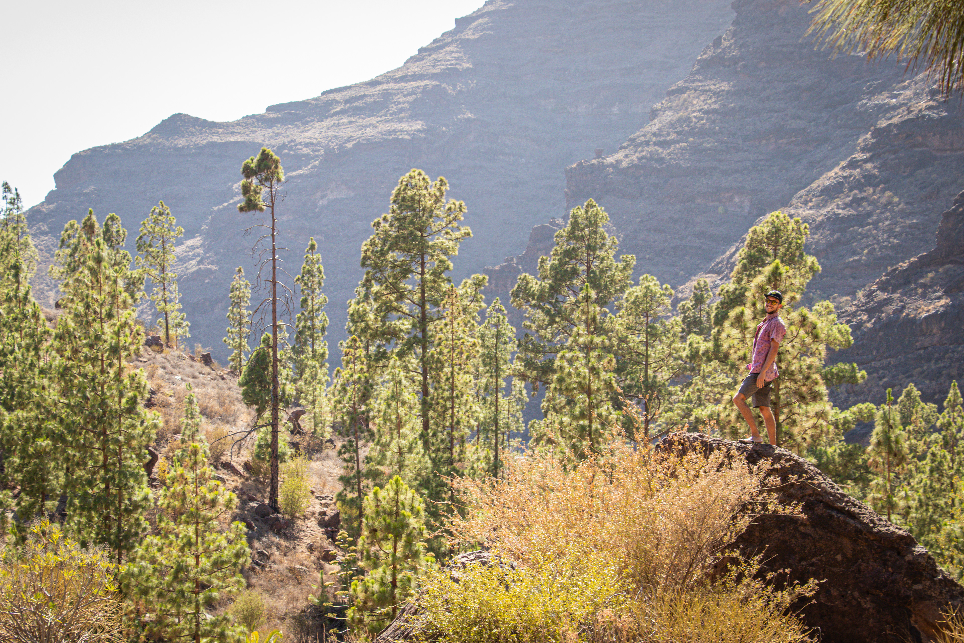 Canary Island