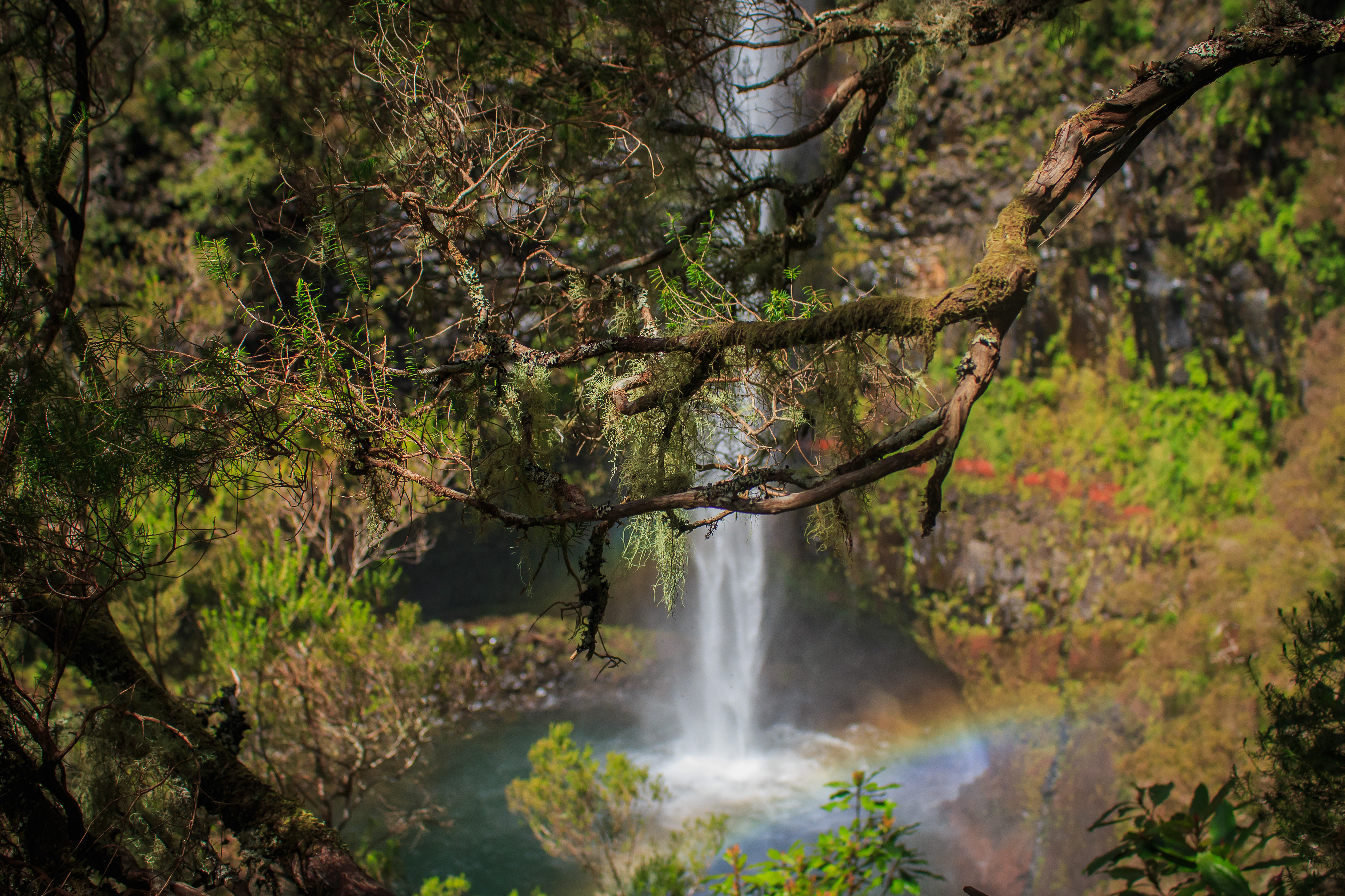 Portugal - Madeira Island