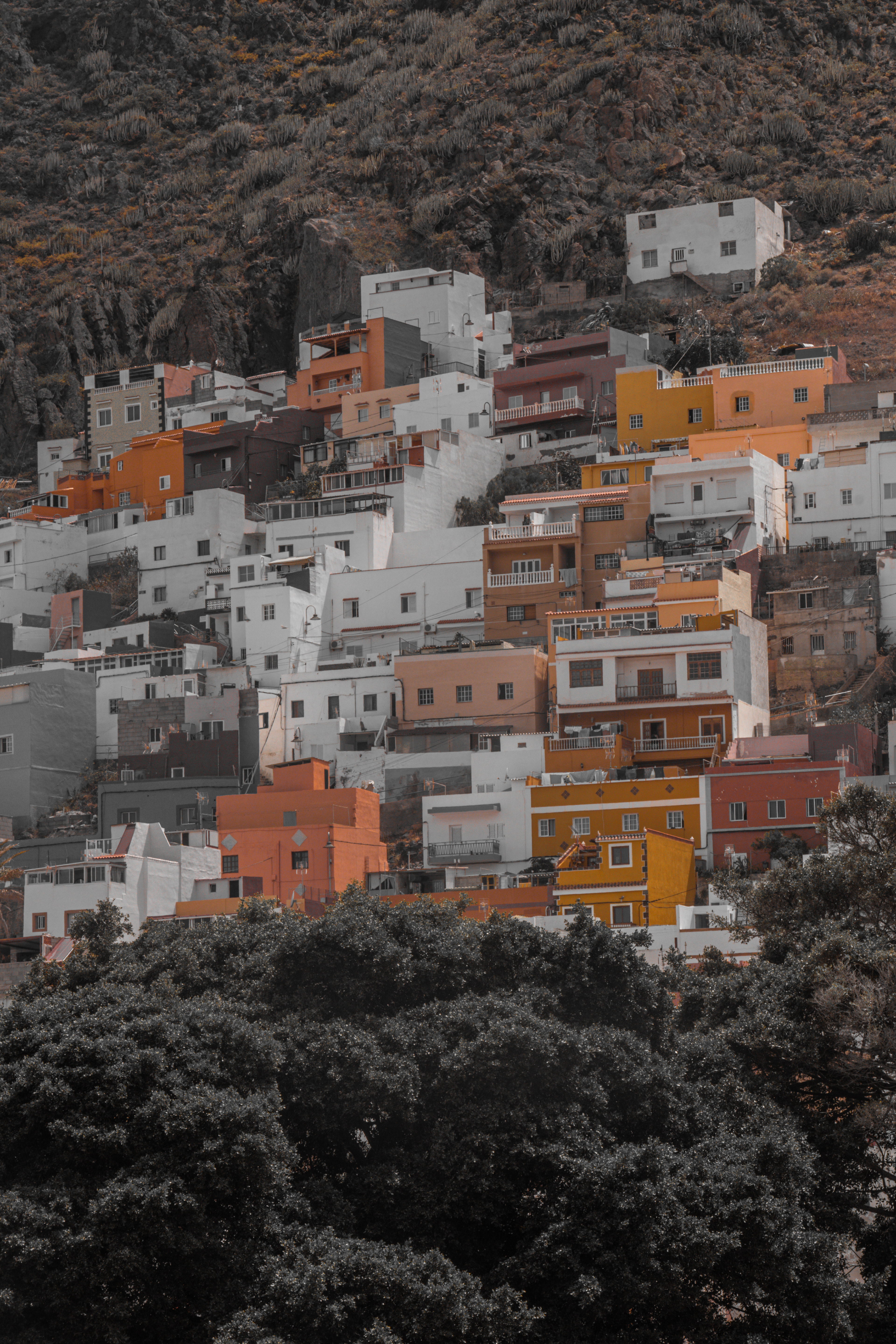 Canary Island