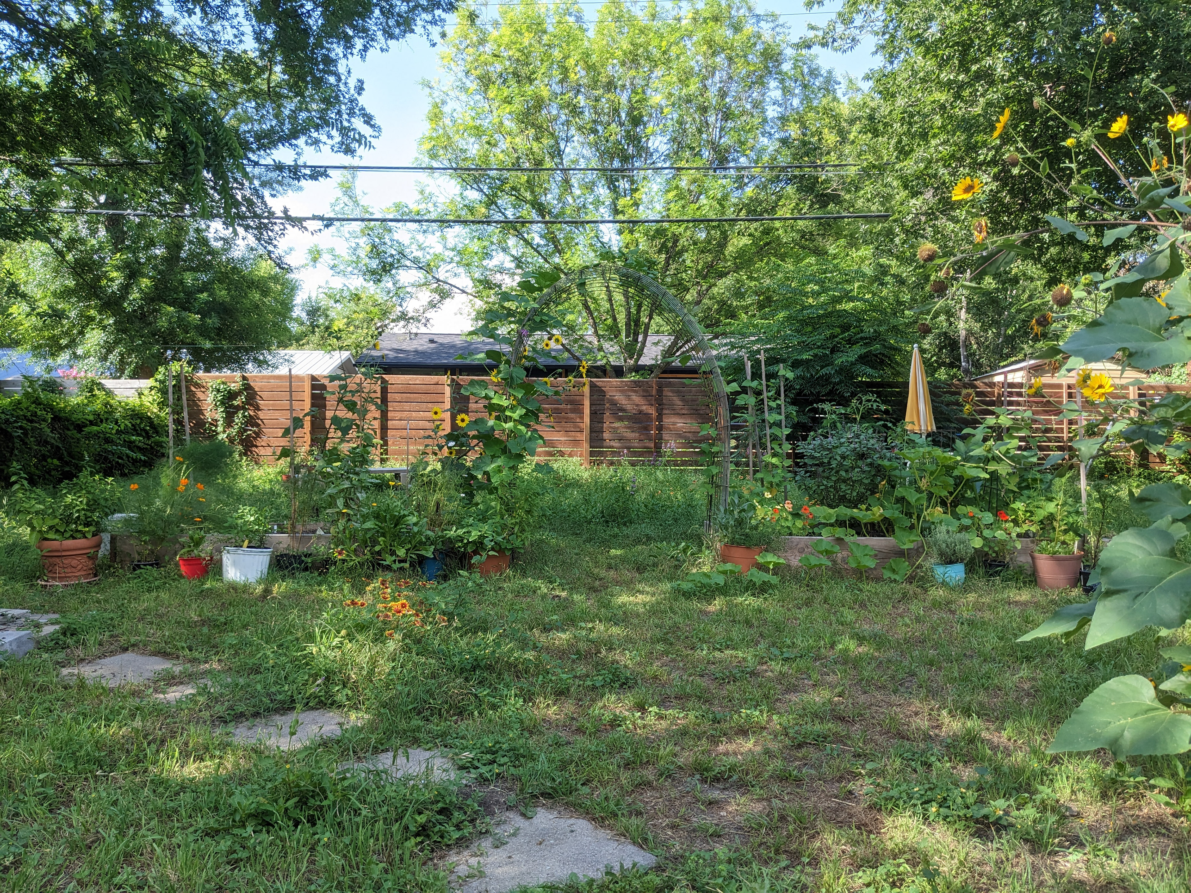 Windsor Park Garden June