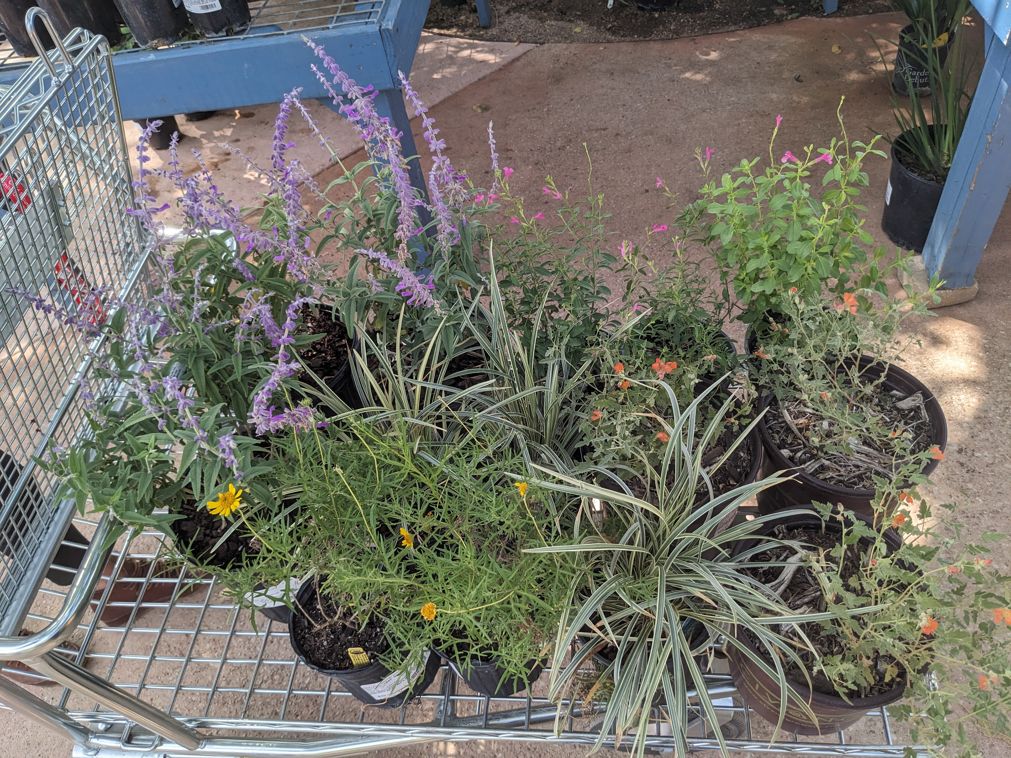 Downtown ATX Maison House