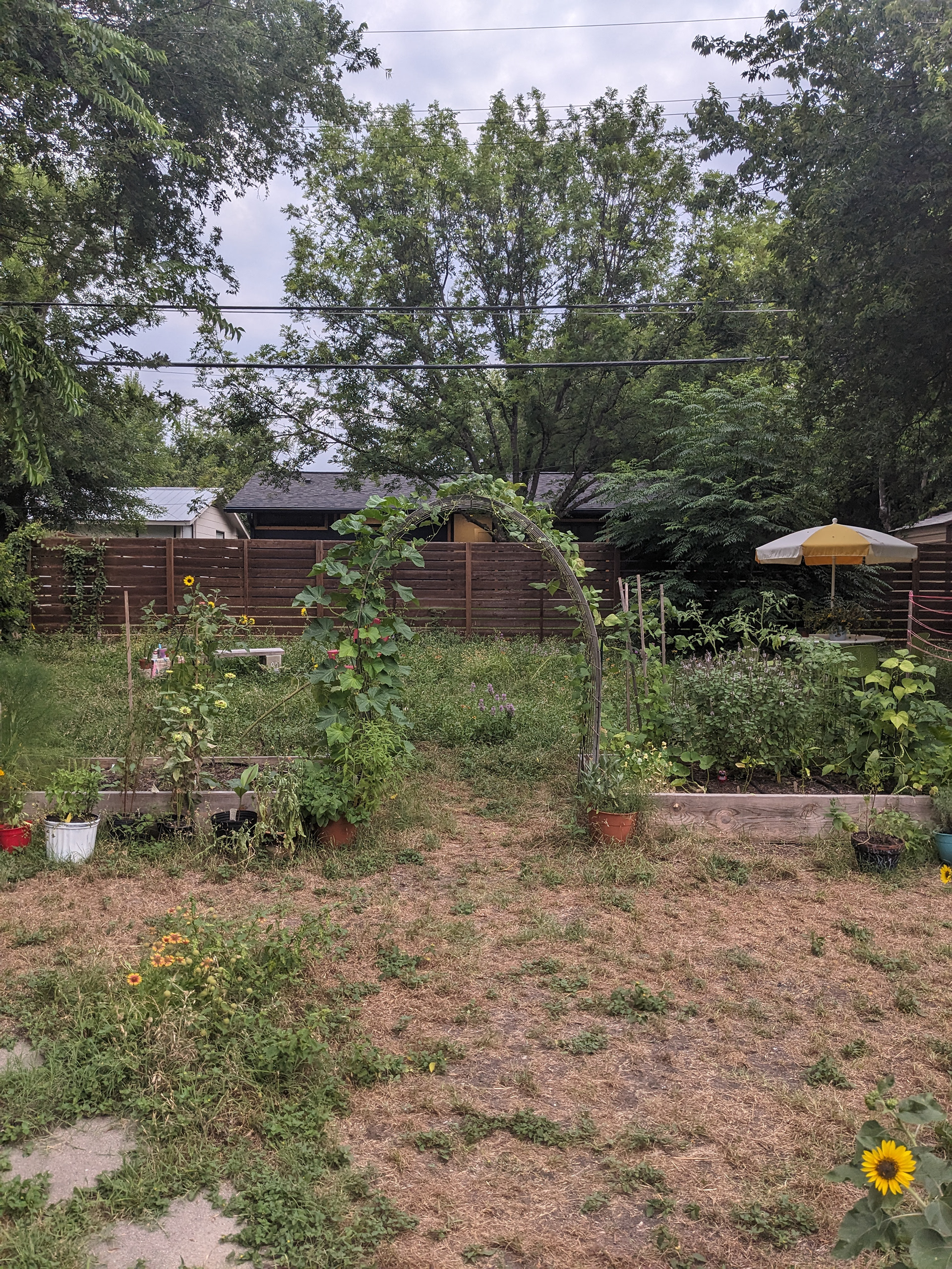 Windsor Park Garden: Solstice