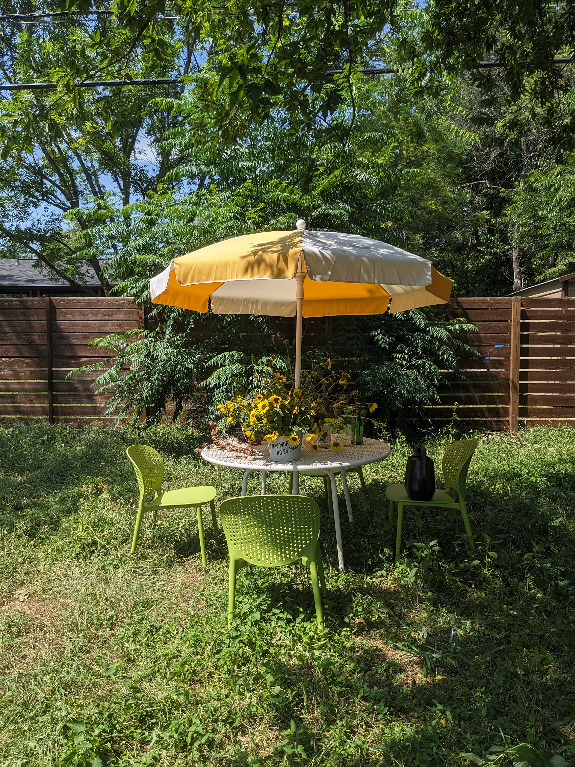 Windsor Park Sunflower Harvest