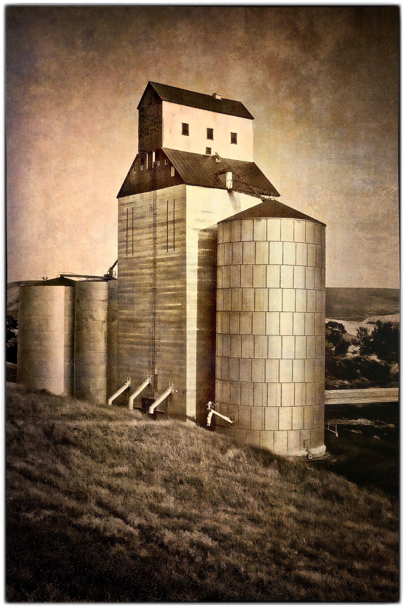 This grain silo was tagged with the word "wacko", hence the name.  Somewhere in WA.