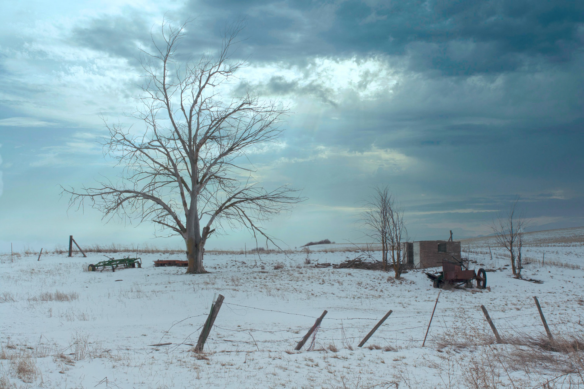 Barren Tree stands amongst old farming equipment scattered in the snow along a hillside off Highway 95.﻿﻿ Idaho