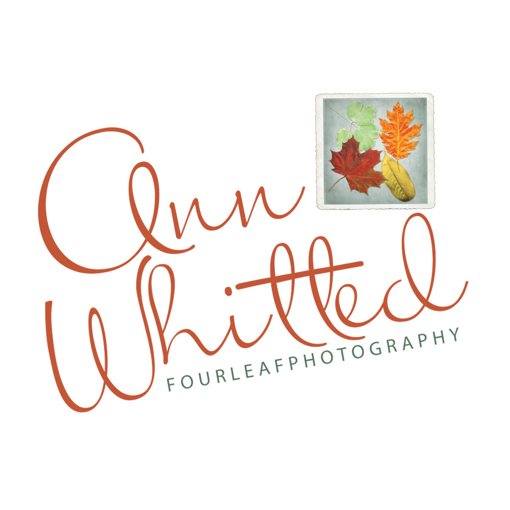 Ann Whitted...Four Leaf Photography Logo