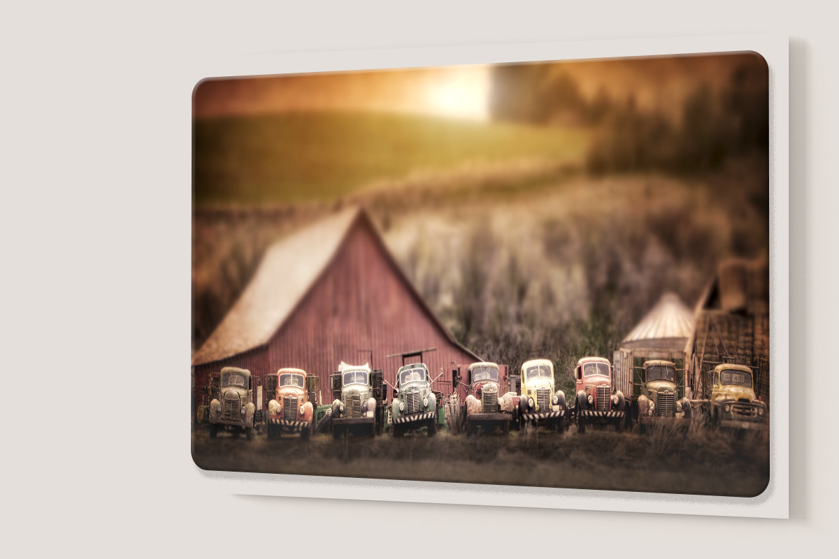 Metal Print of "Old Tow Trucks in a Row" by Ann Whitted