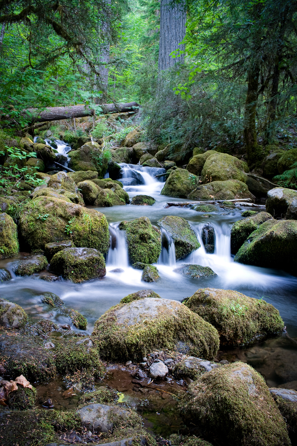 Watson Falls..Beautiful waterfall located in the Umpqua River Area of OR