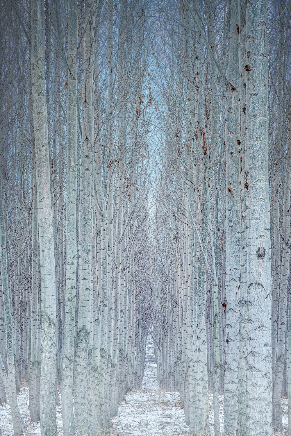 Winter is Coming