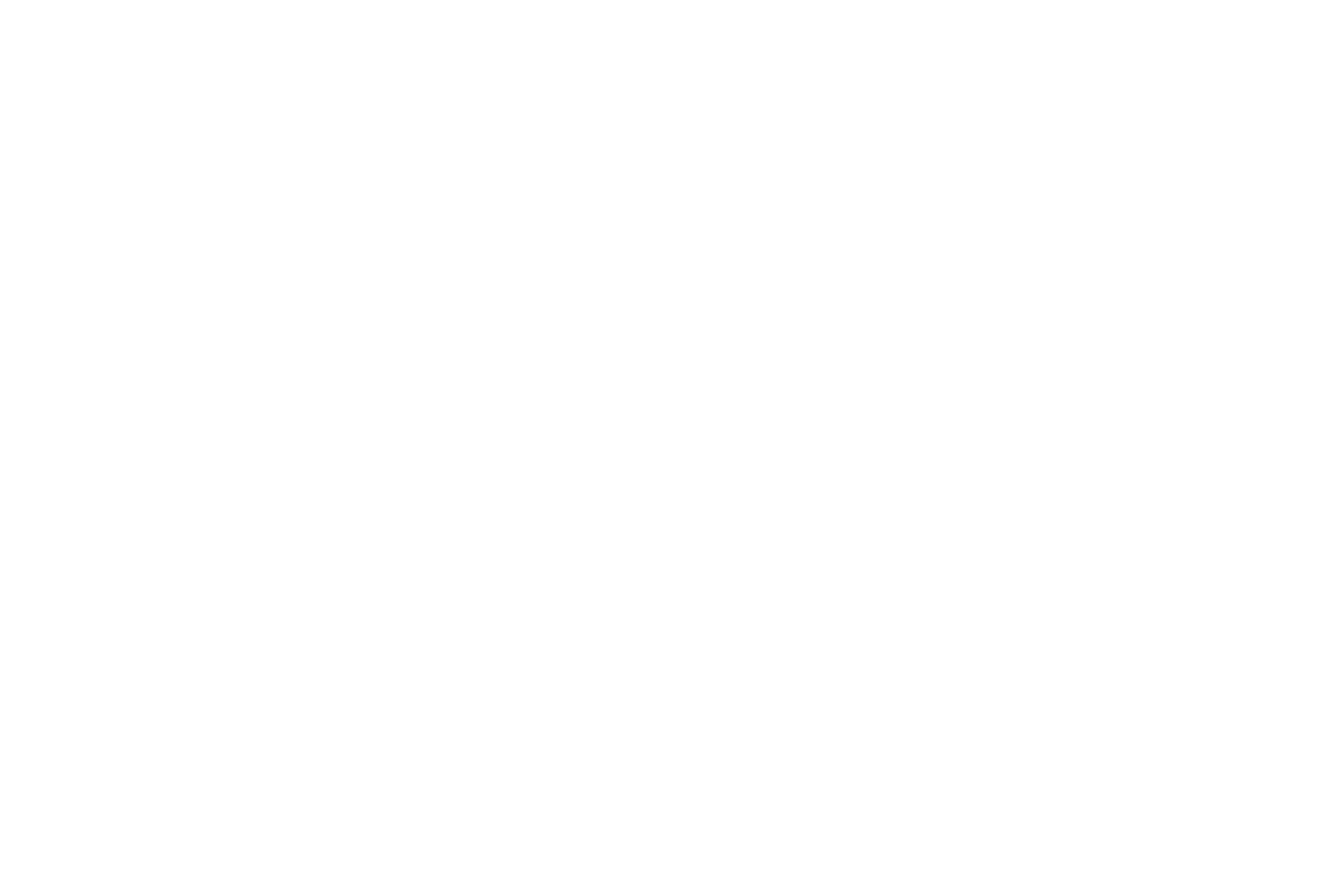 Ceron Focus