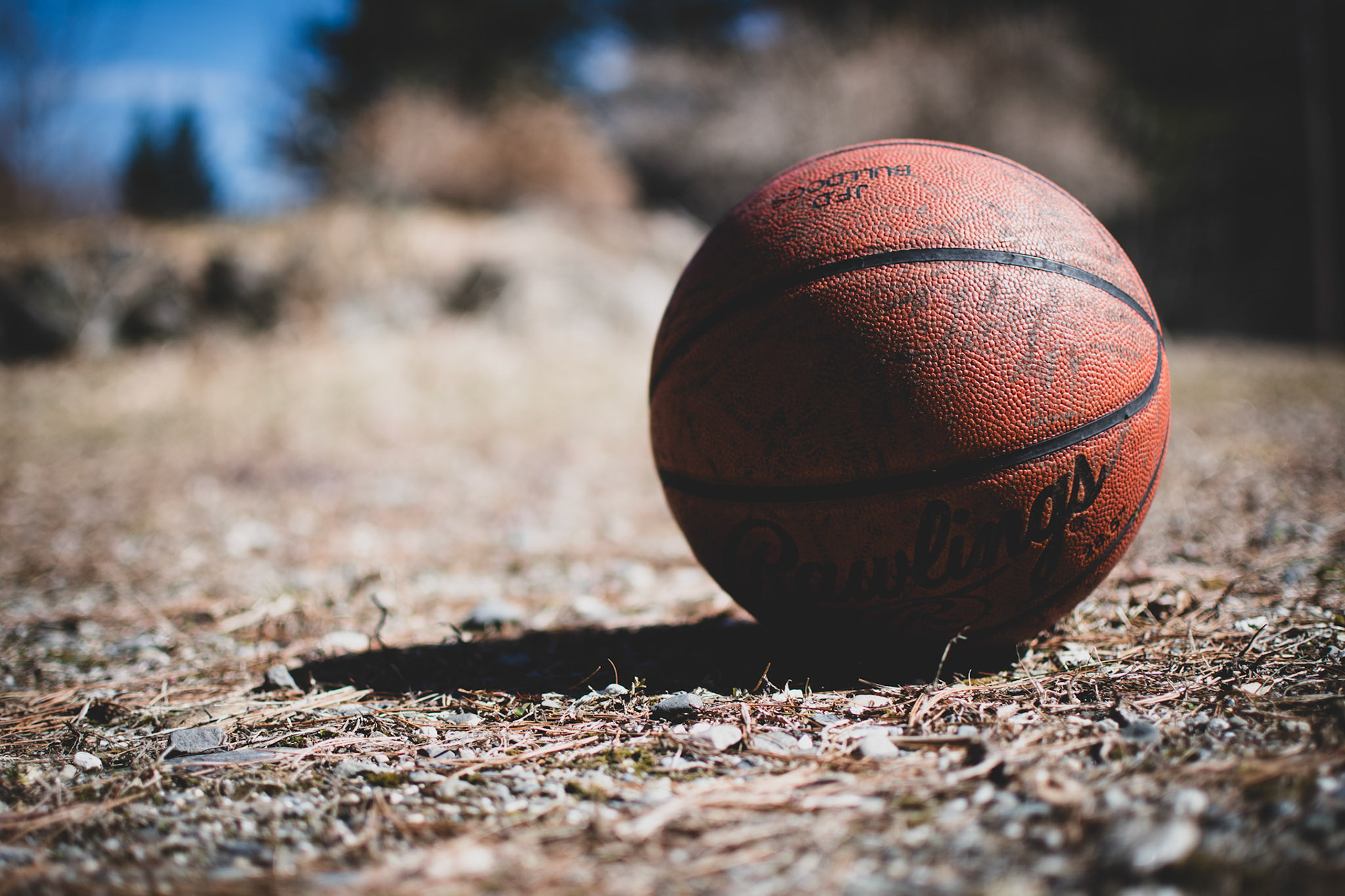 Ball and Shadow