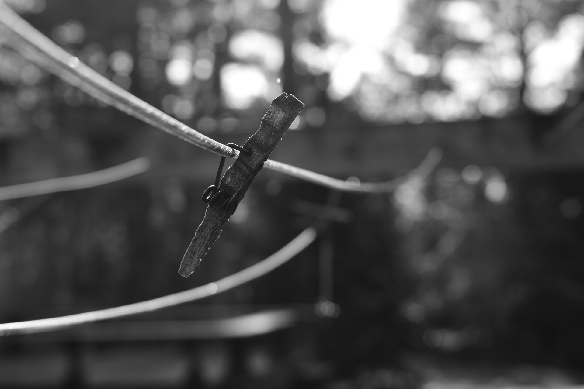 Enchanted Resilience