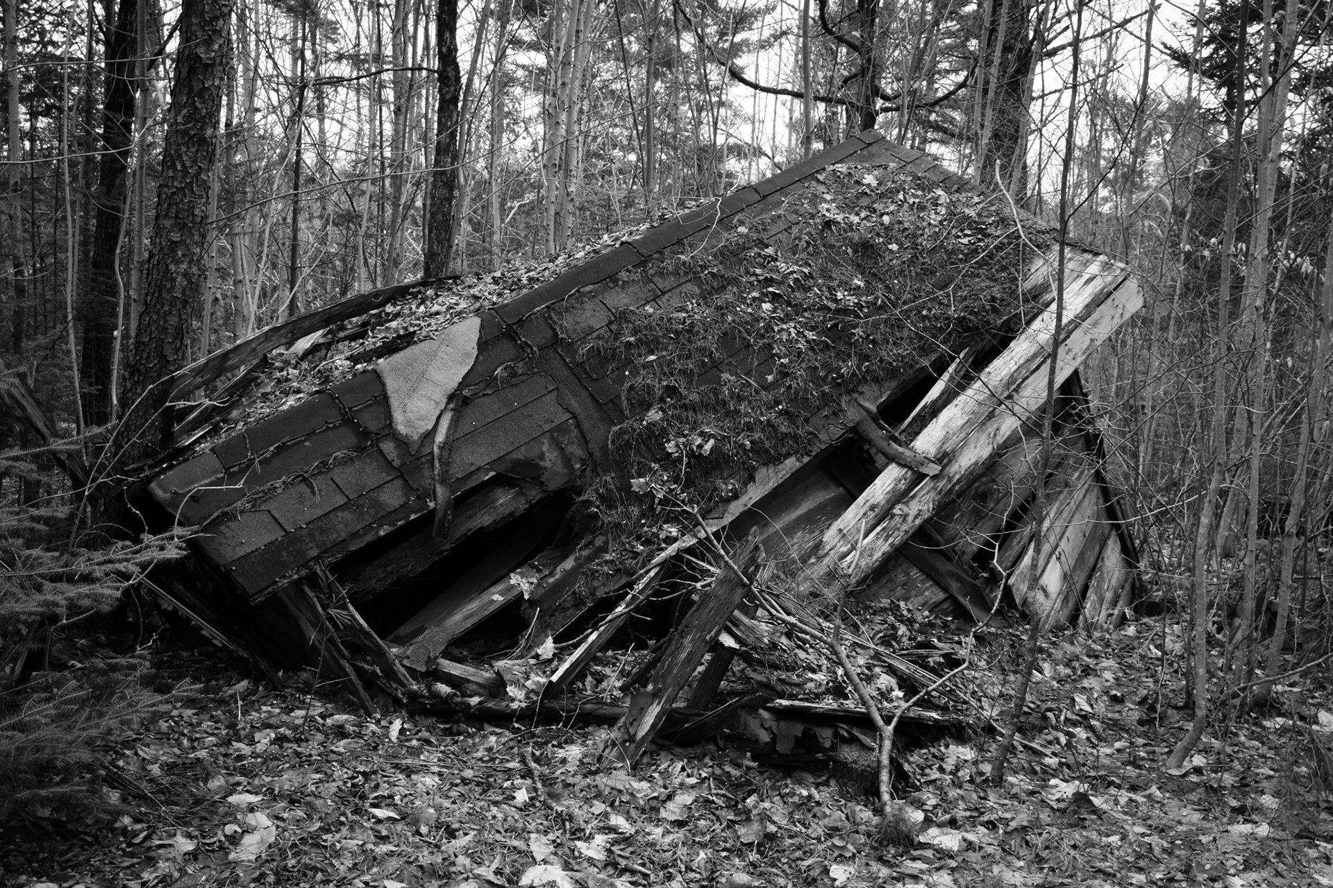 Reviving Decay
