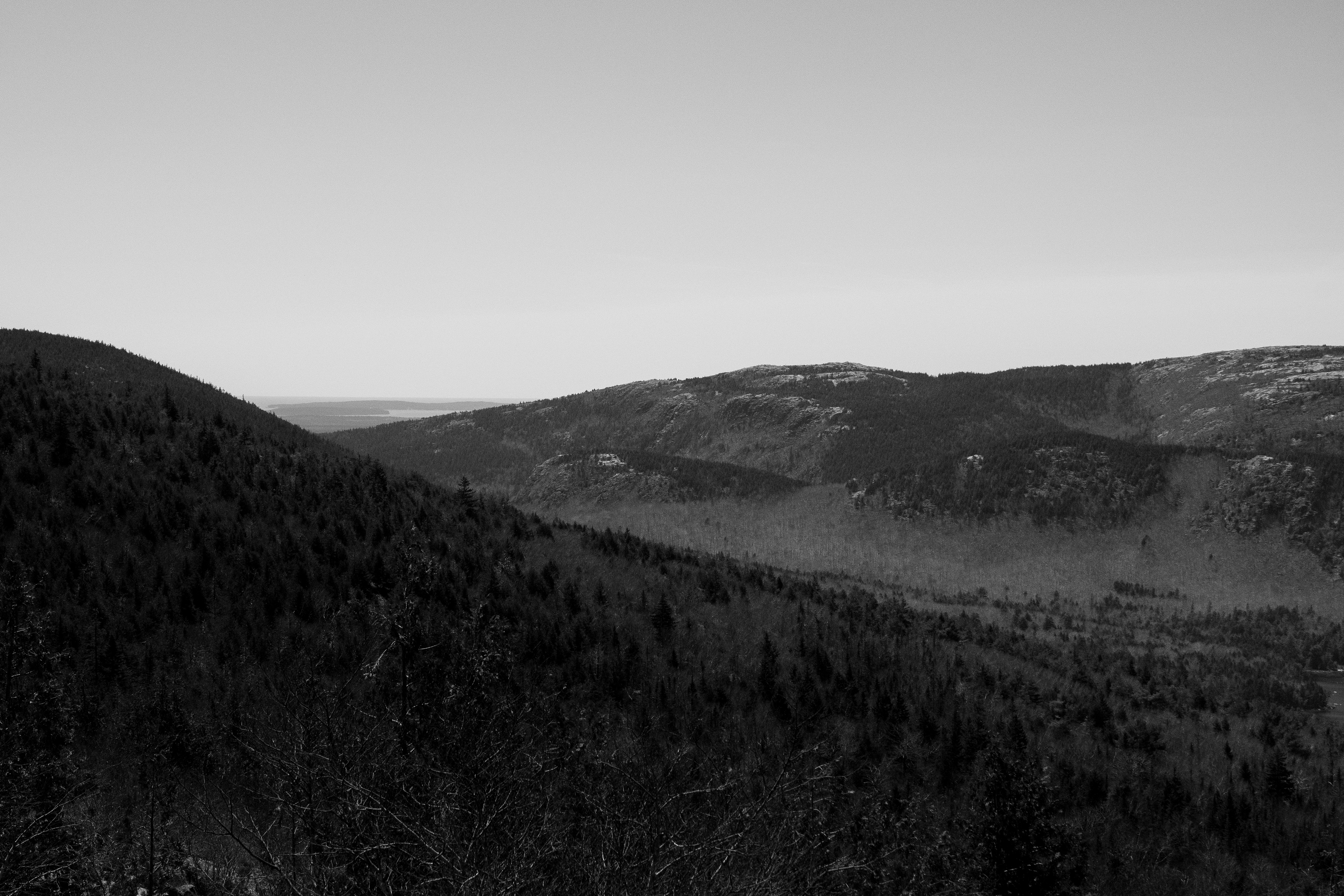Whispering Hills