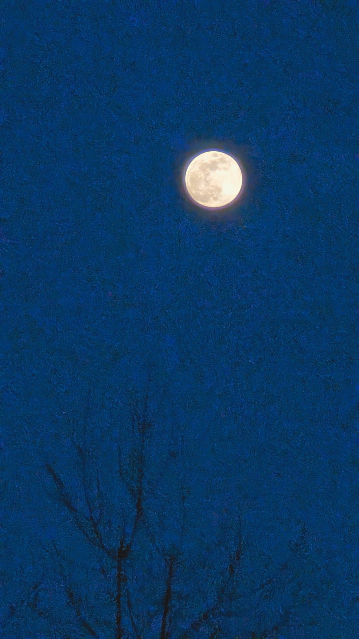 Painted Night