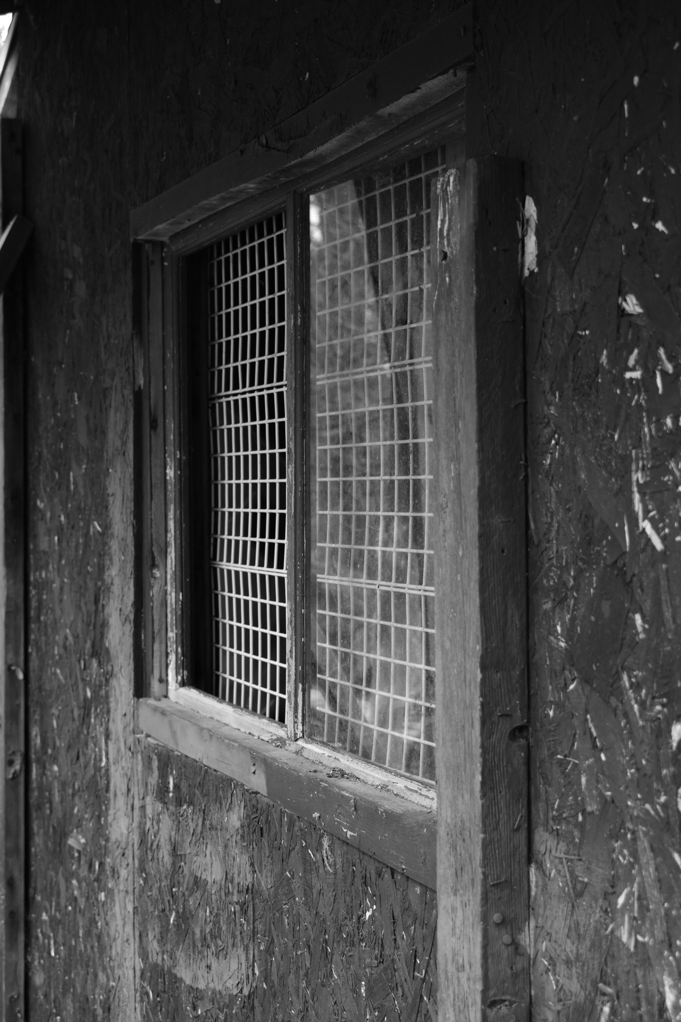 Hopeful Escape