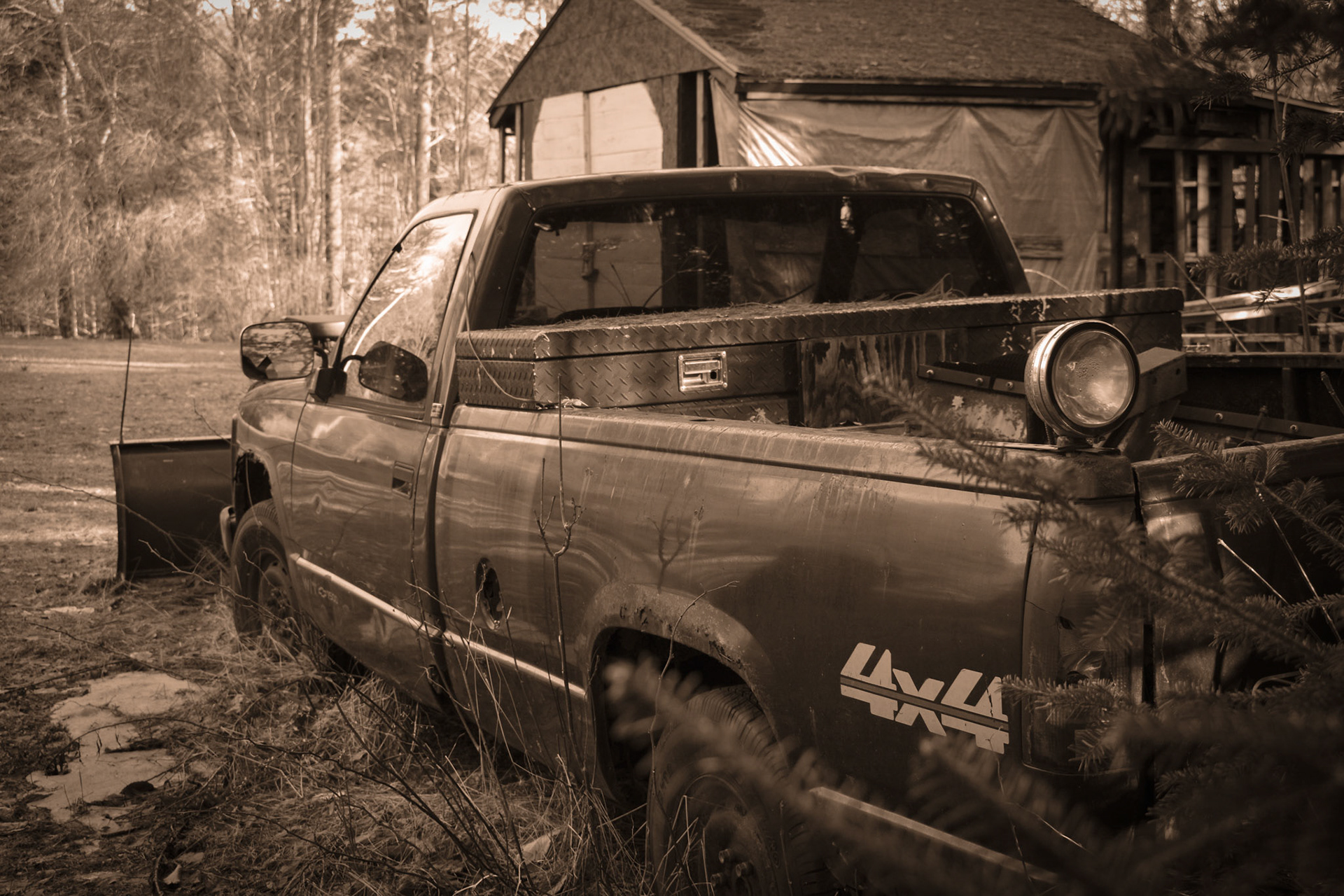Vintage Reflections