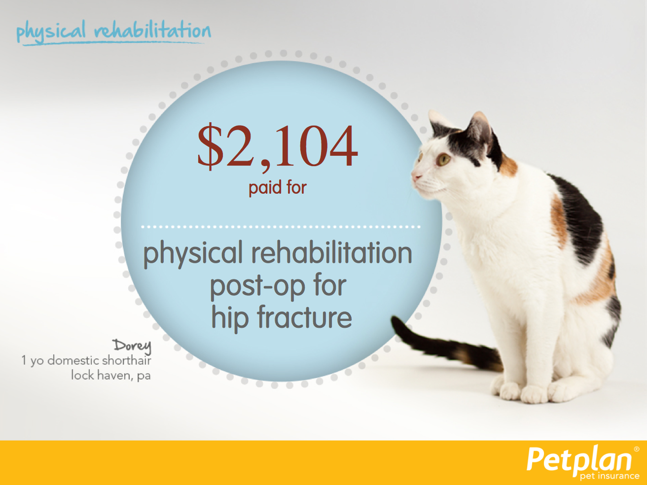 PowerPoint slides created for tradeshows. Showing total amount paid out for different conditions.