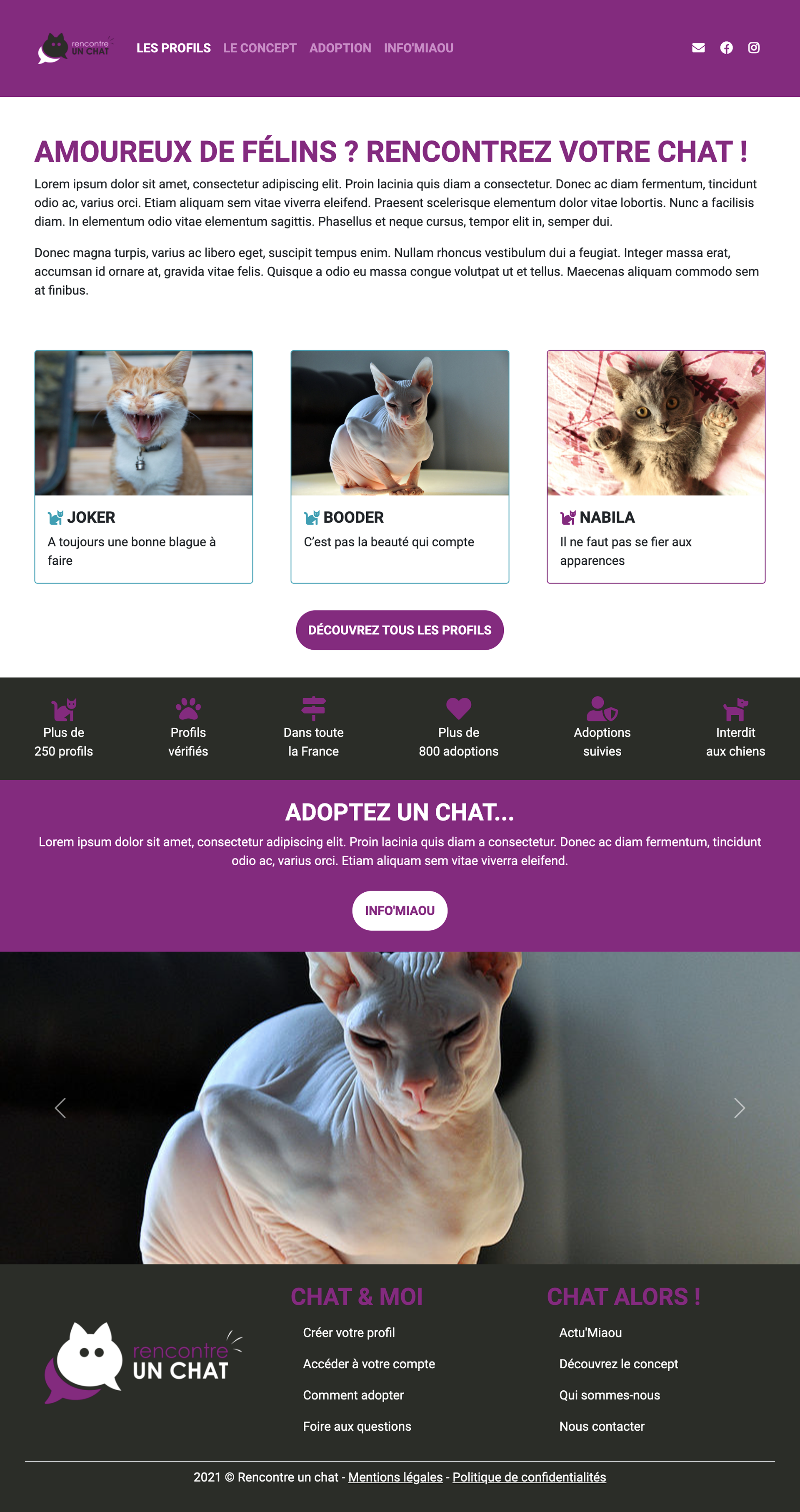 Mon site internet finalisé