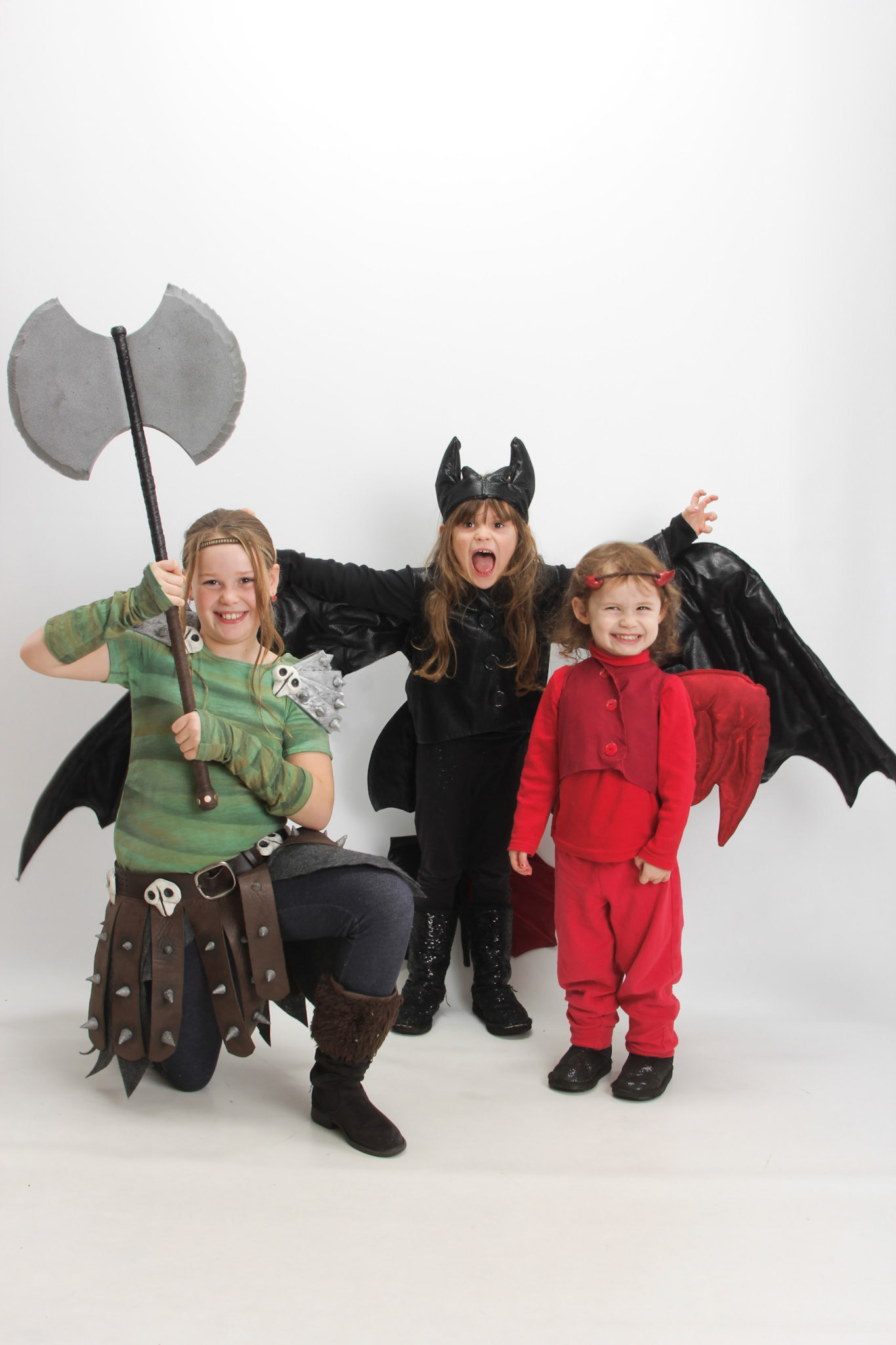 How to Train your Dragon