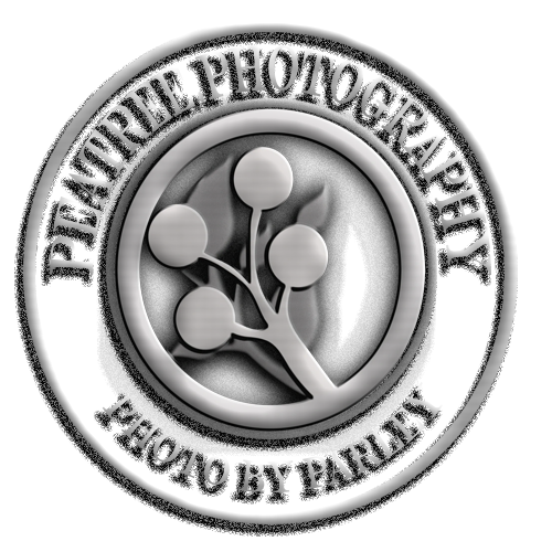Peatree Photography