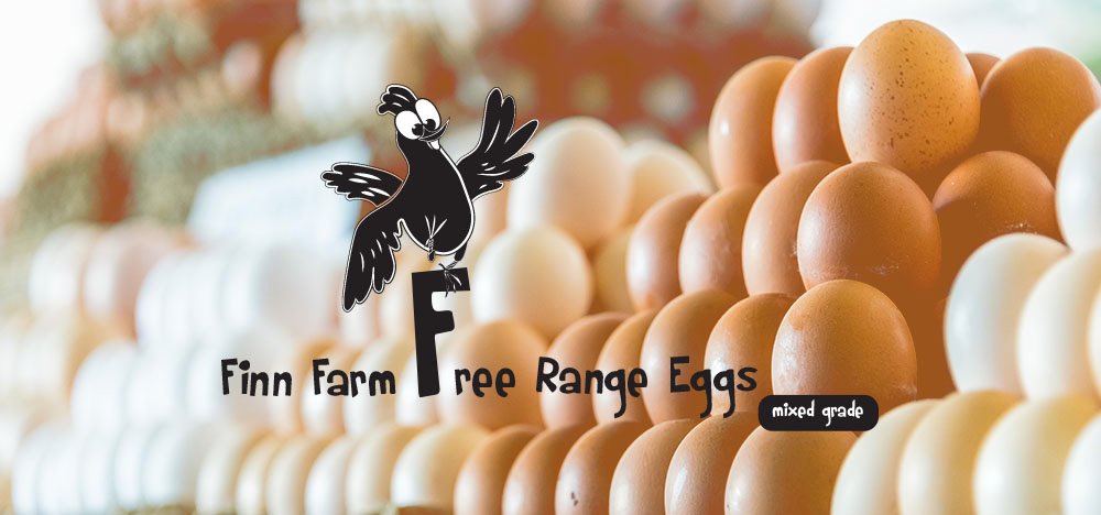 Finn Farm Free Range Eggs with Background