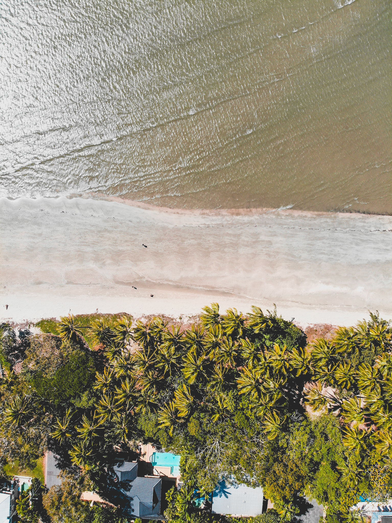 created by dji camera