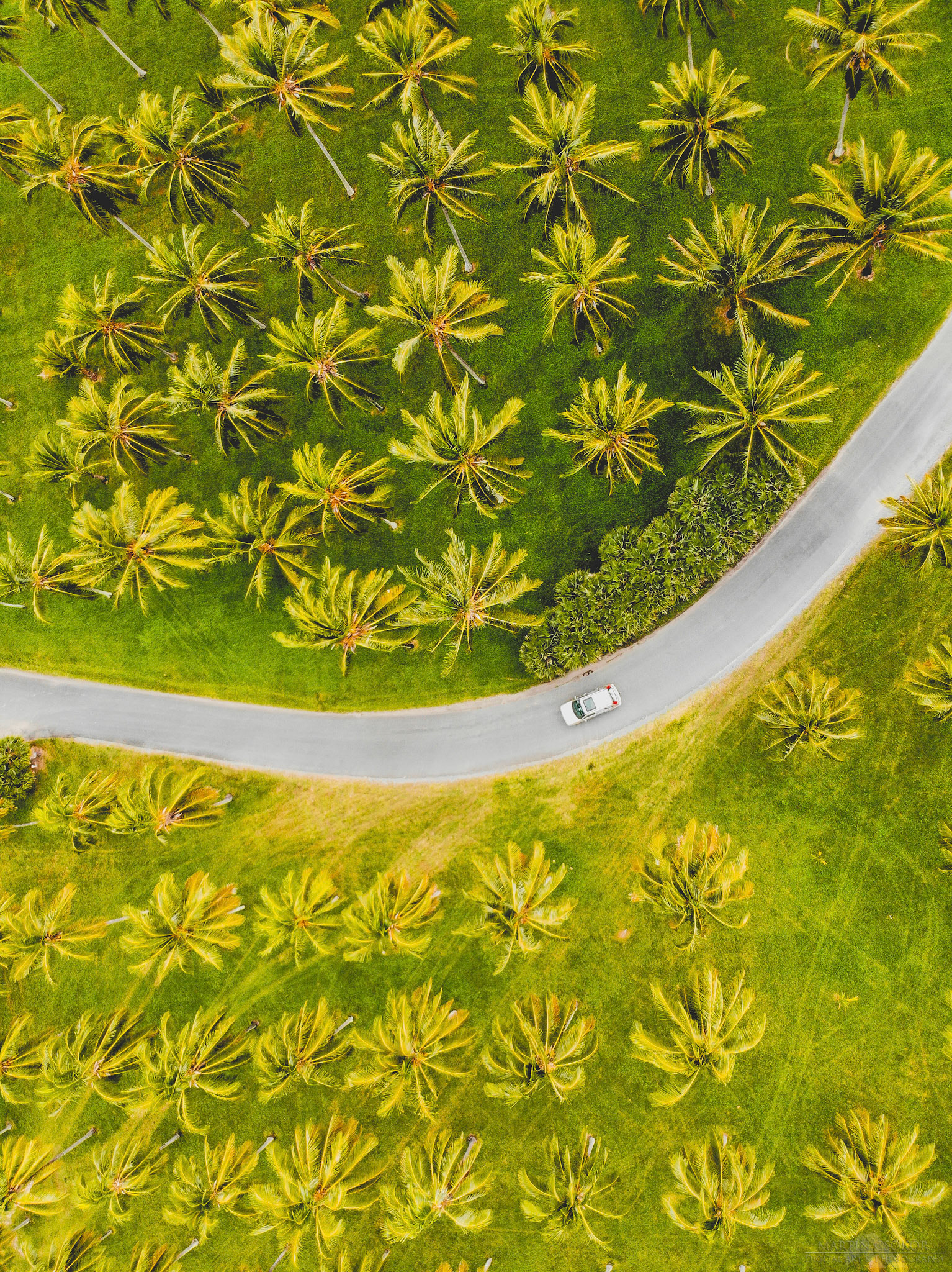 created by dji camera