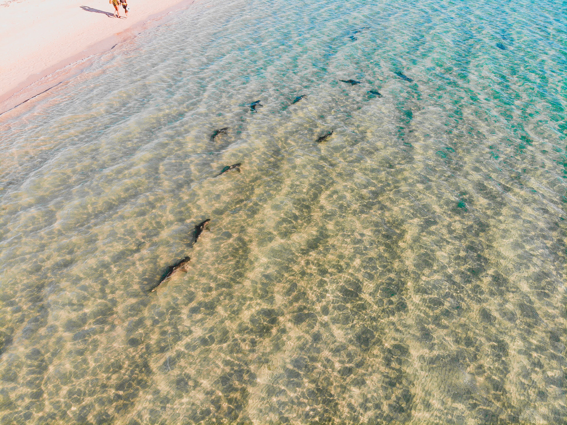 created by dji camera