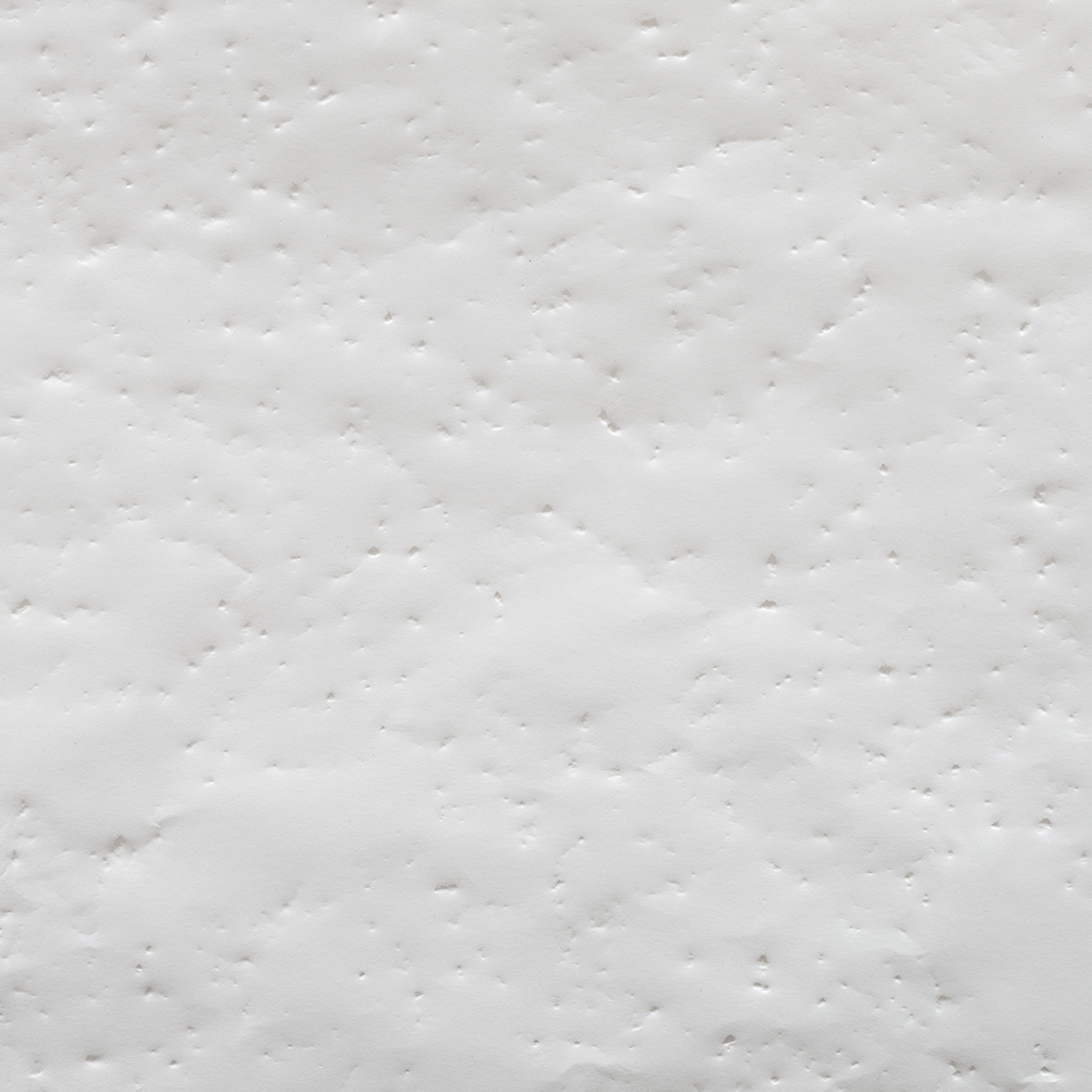 Salzburg - Festungsberg (Detail) / 2019 / Perforierung, Frottage / Papier