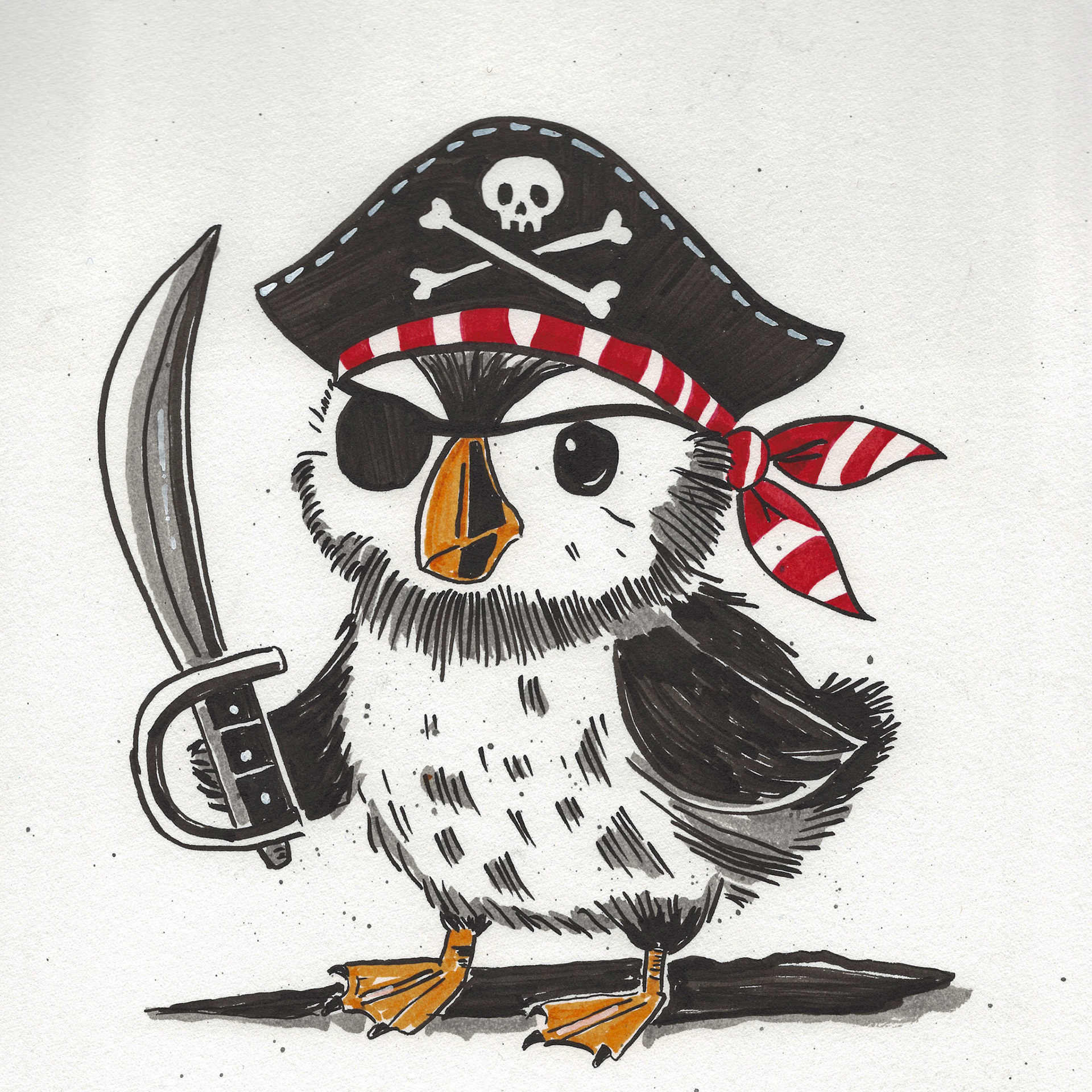 Pirate Puffin