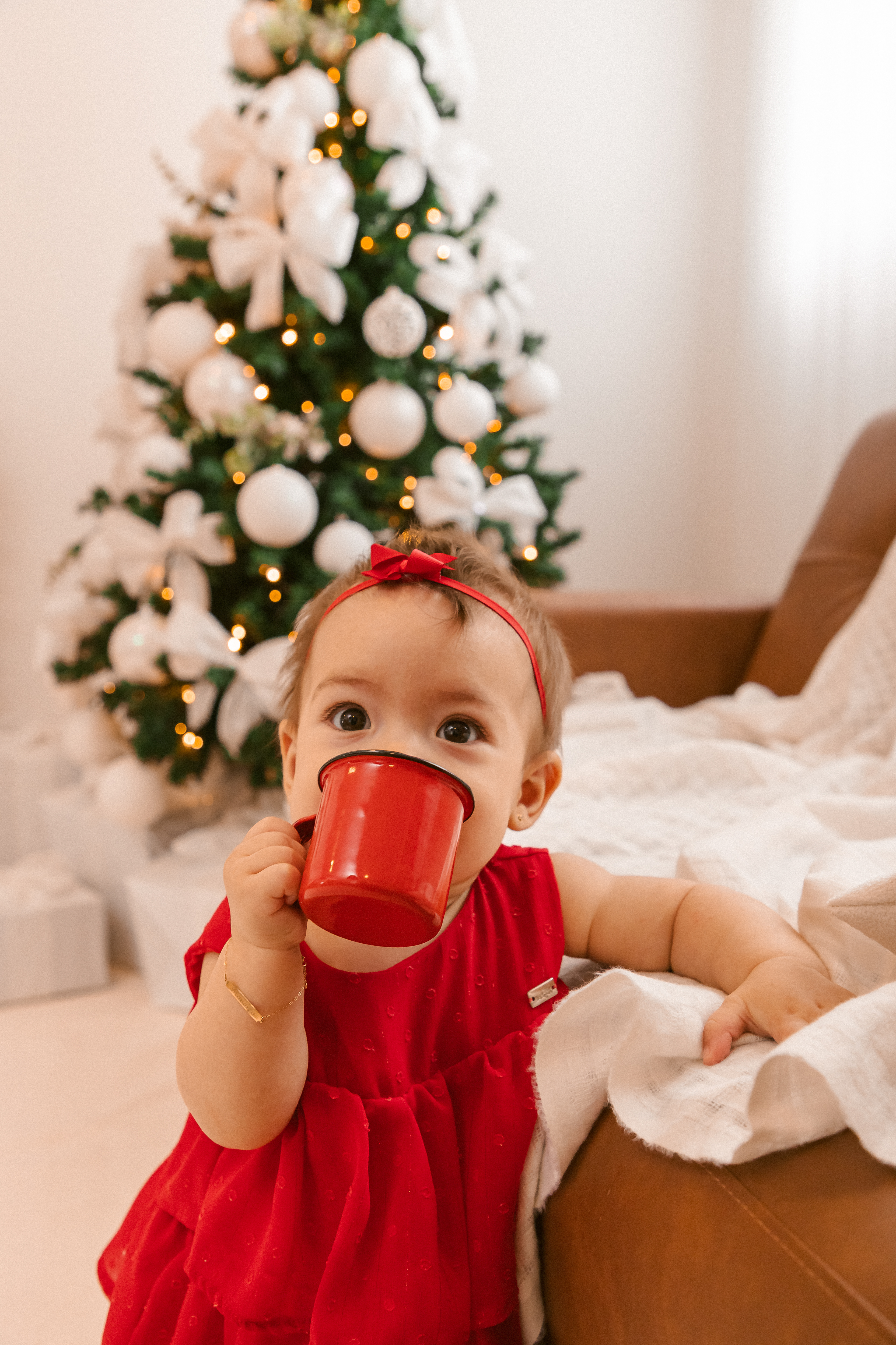 Ensaio de Natal 2025 - Fotografia de família