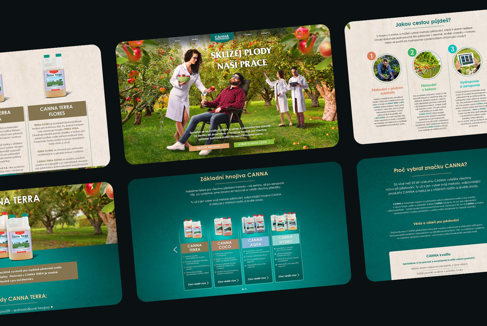 Design microsite Sklízej plody naši práce