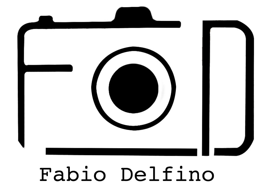 fabio delfino