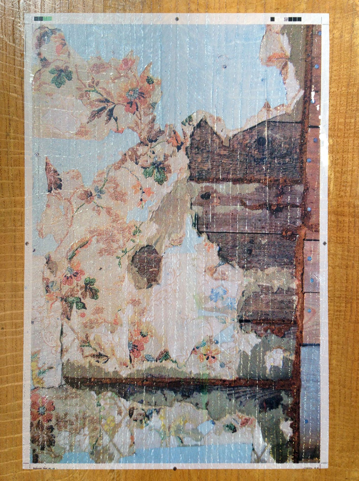 Bog House. Silkscreen print onto oak wood panel. A/P.