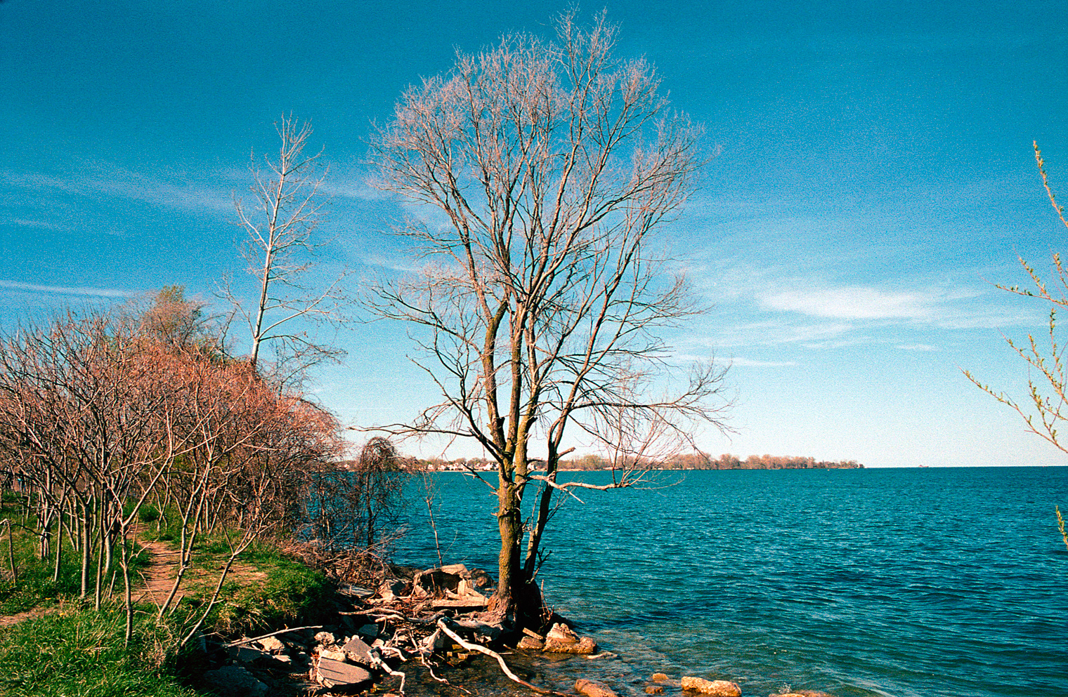 Contax RTS - Lomo Color Negative 800