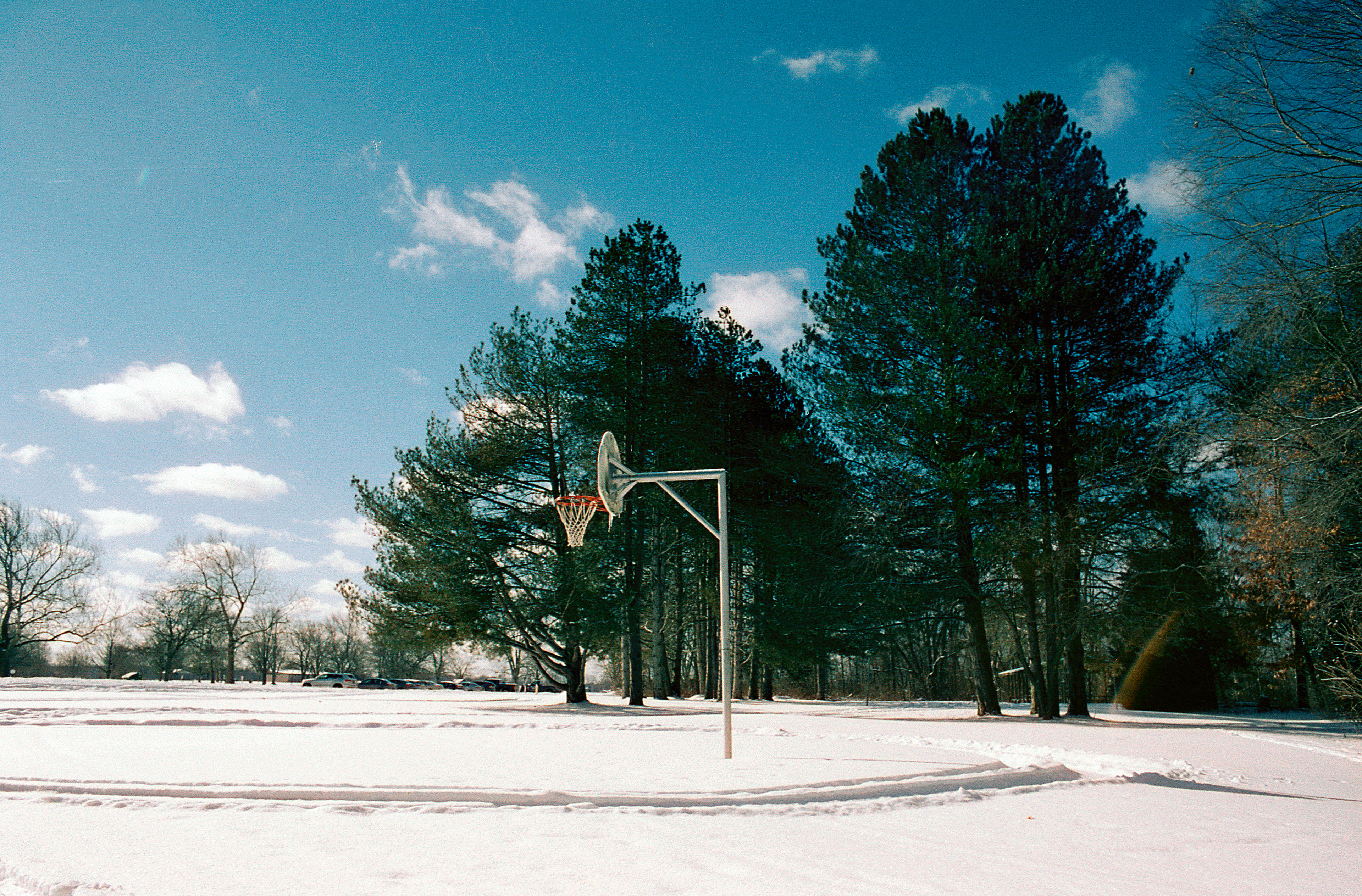 Contax RTS - Cinestill 50D