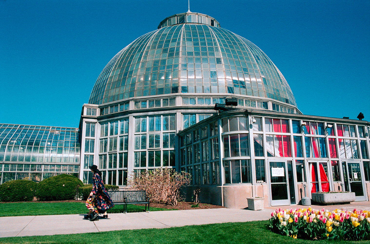 Contax RTS - Lomo Color Negative 800