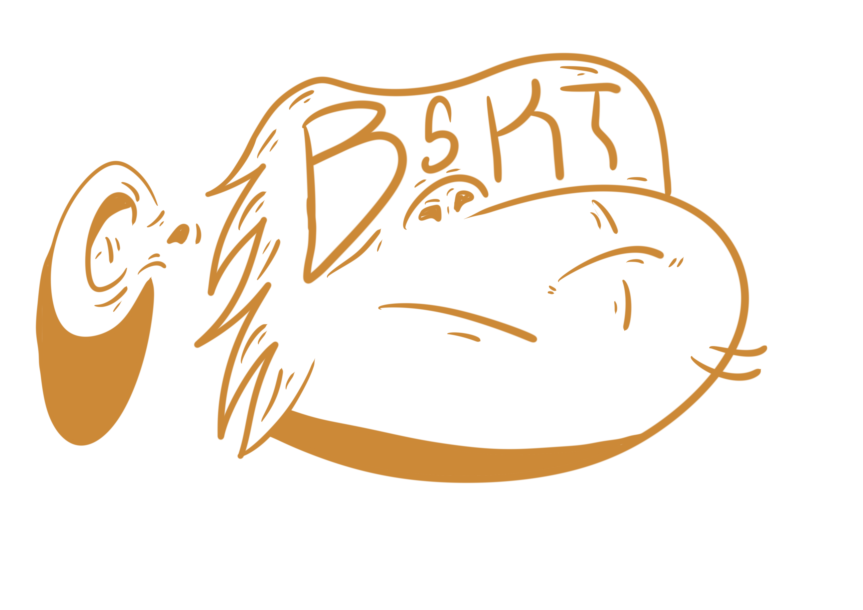 BSKT