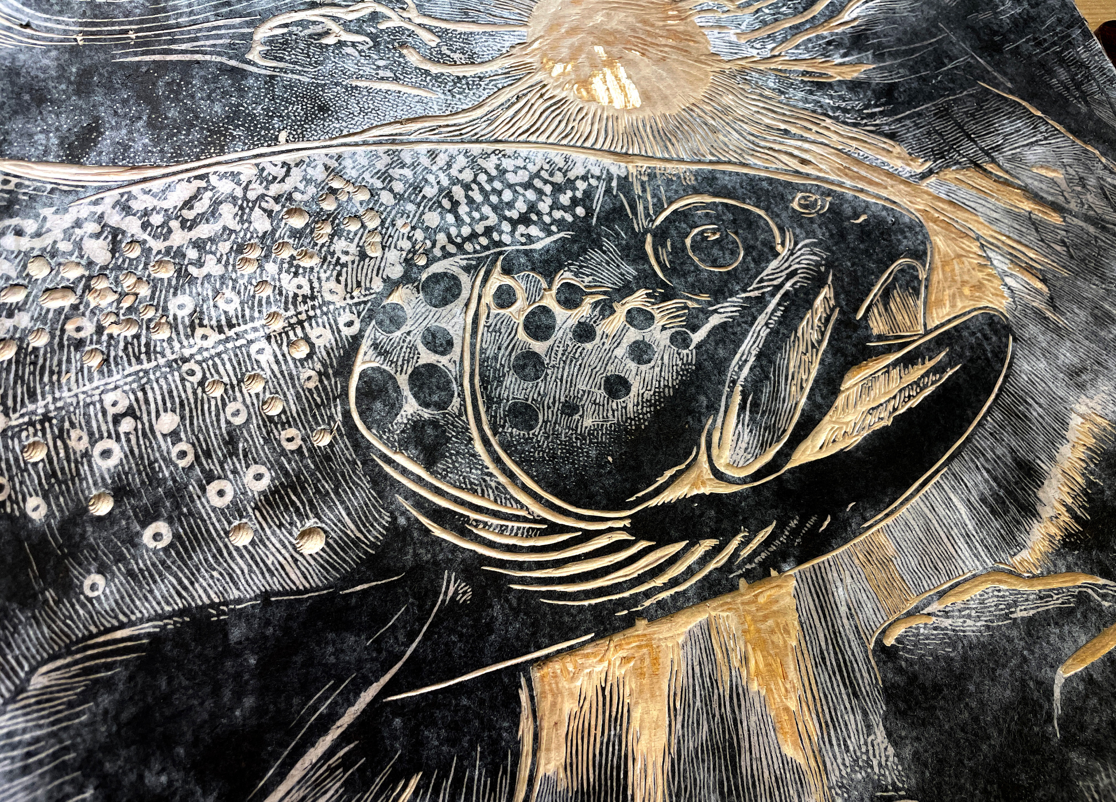 Close-up of The Trout