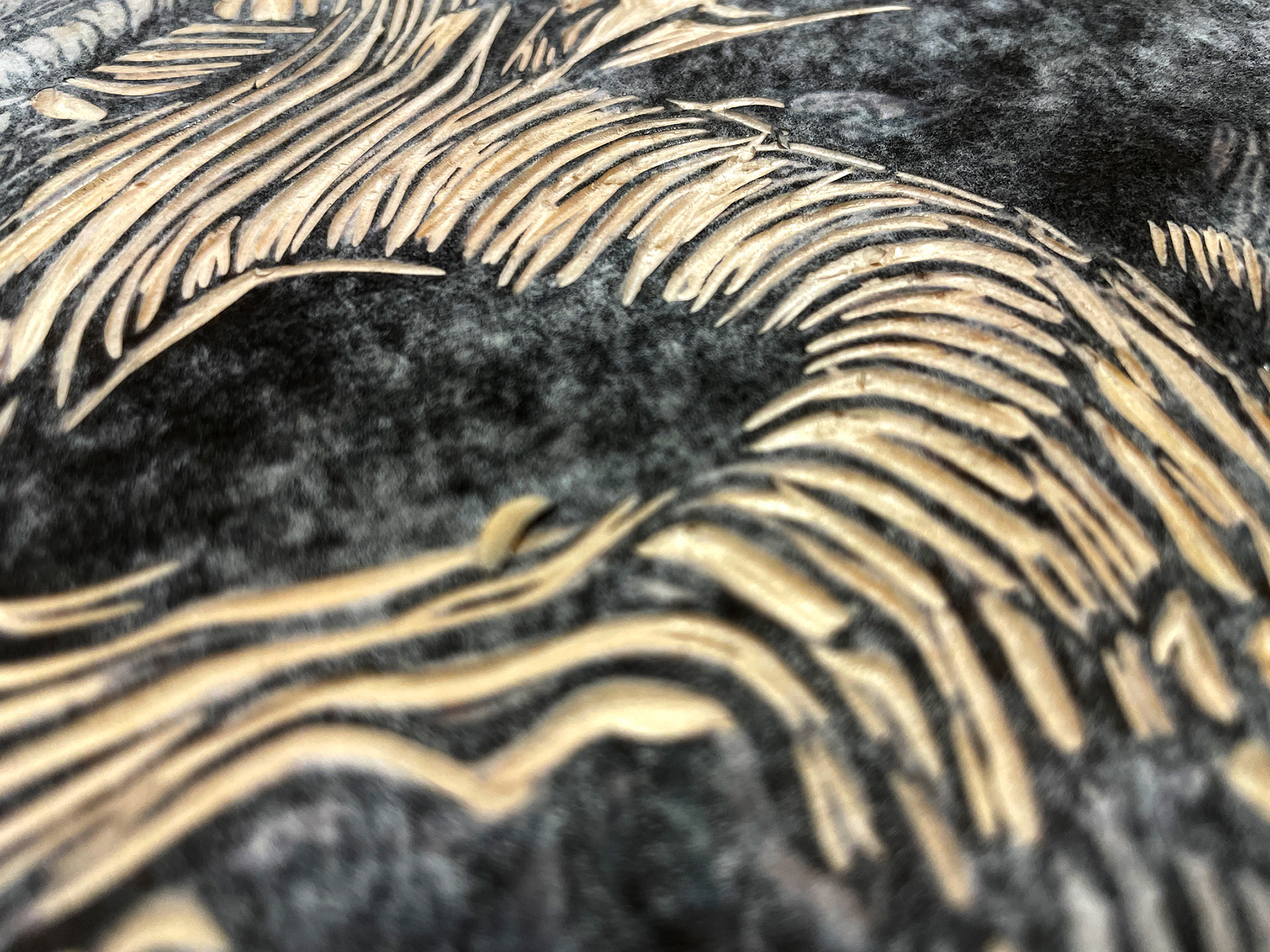 carving The Crows, removing white areas of drawing