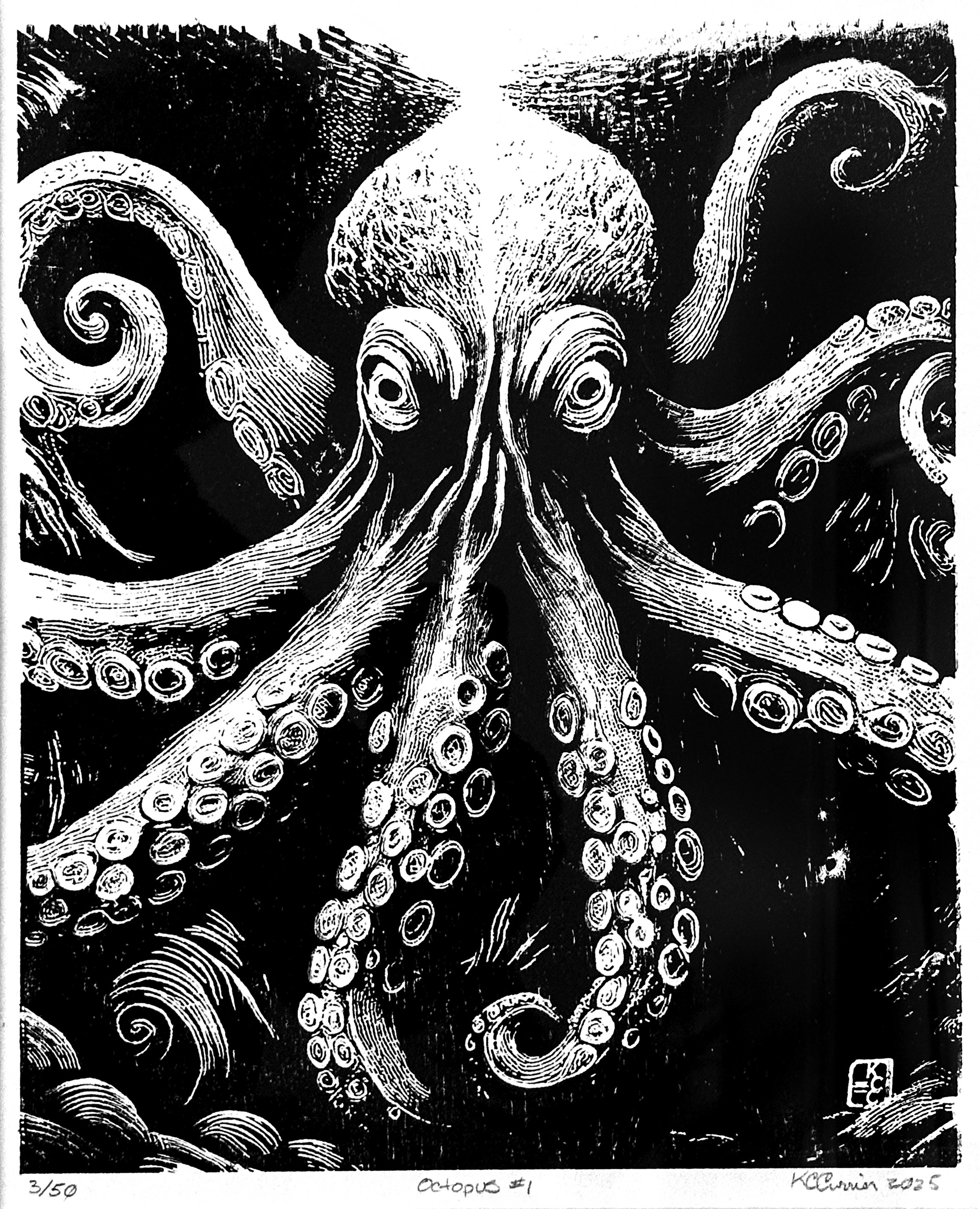 Octopus #1