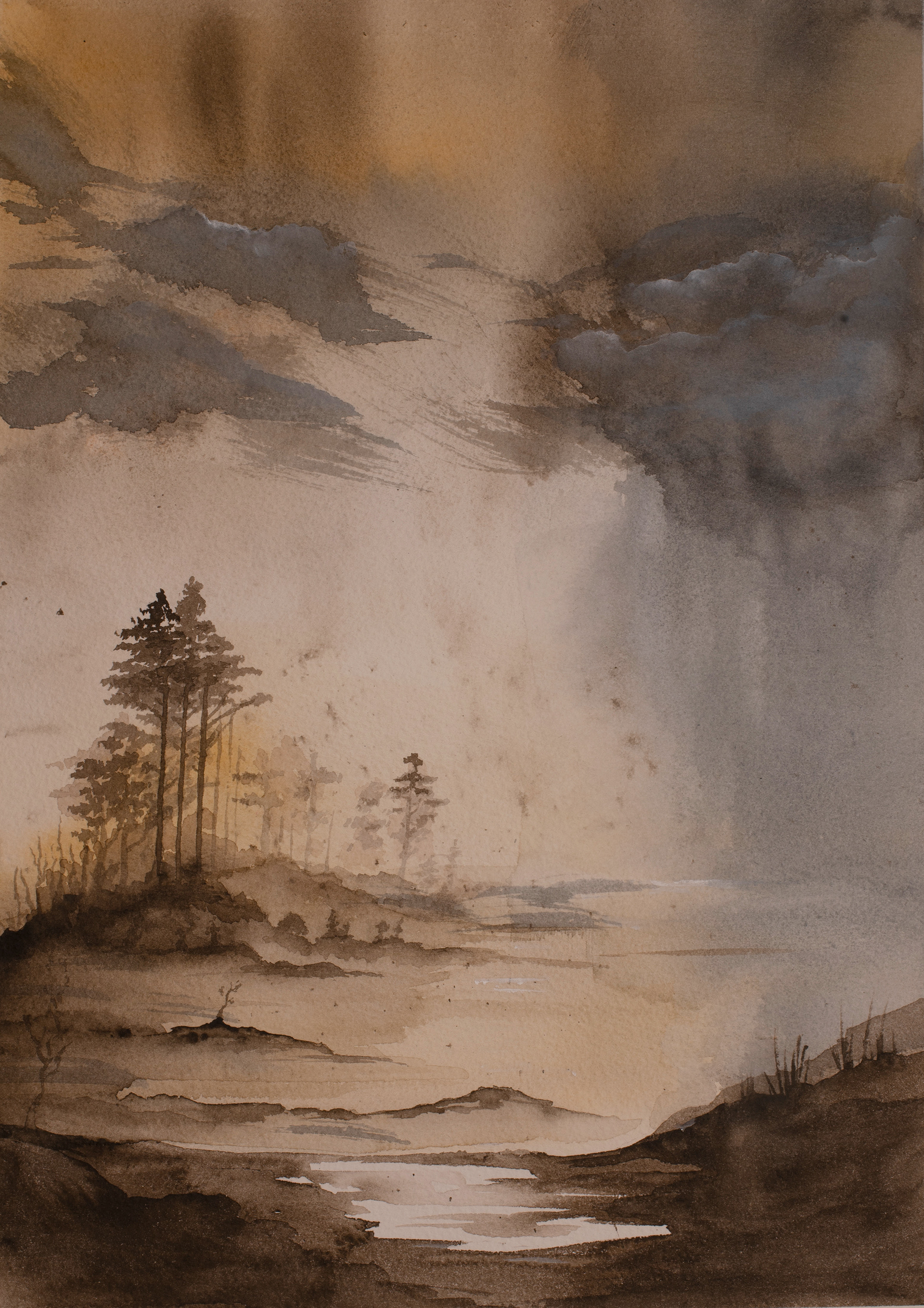 Incoming rain 26x37