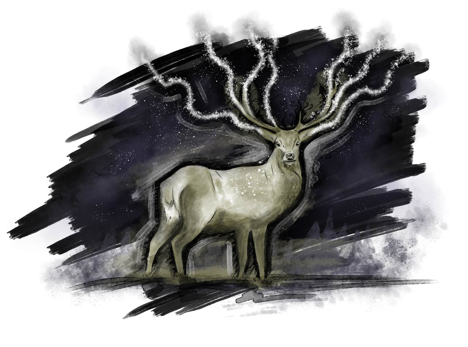 Deer