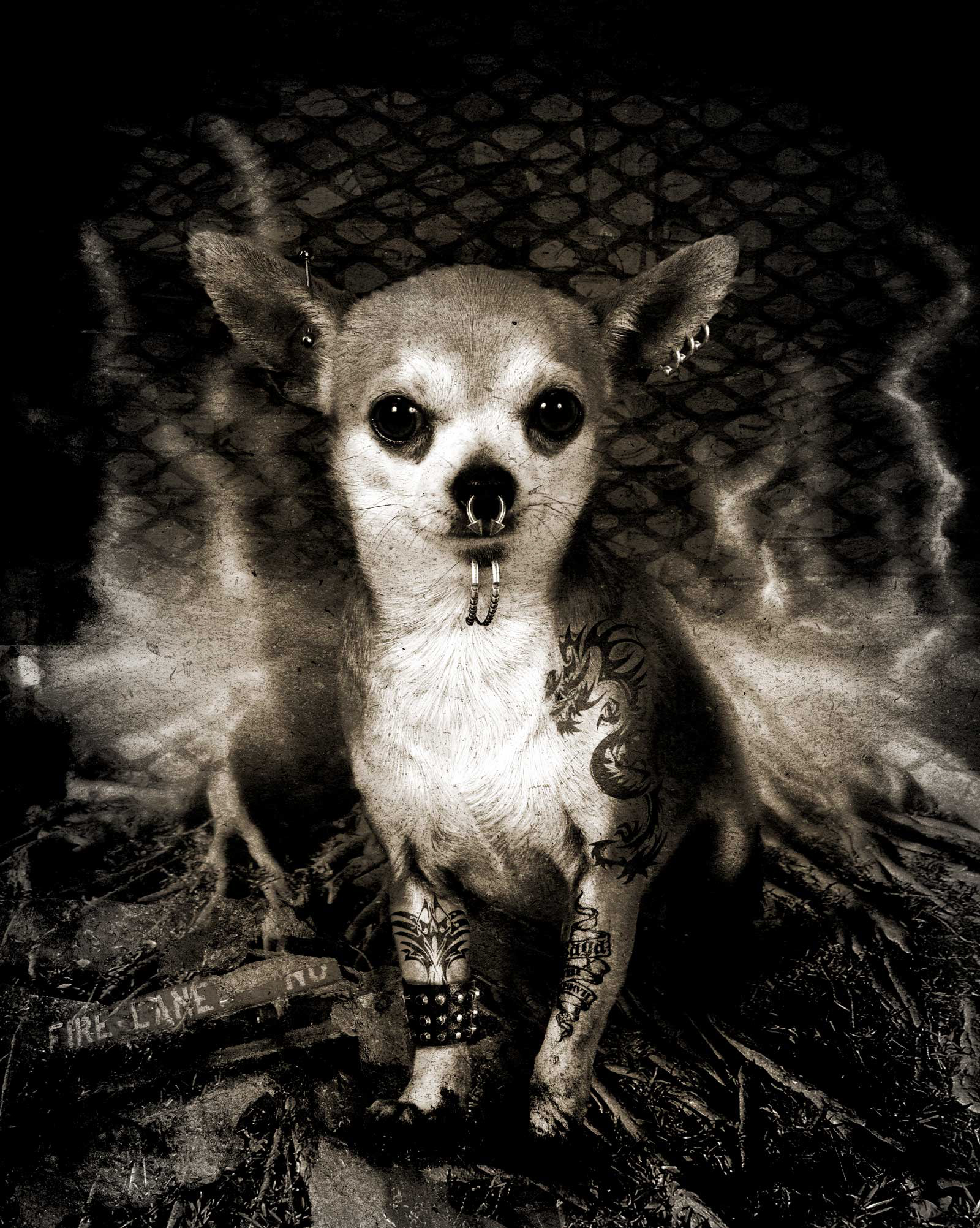 Metal dog