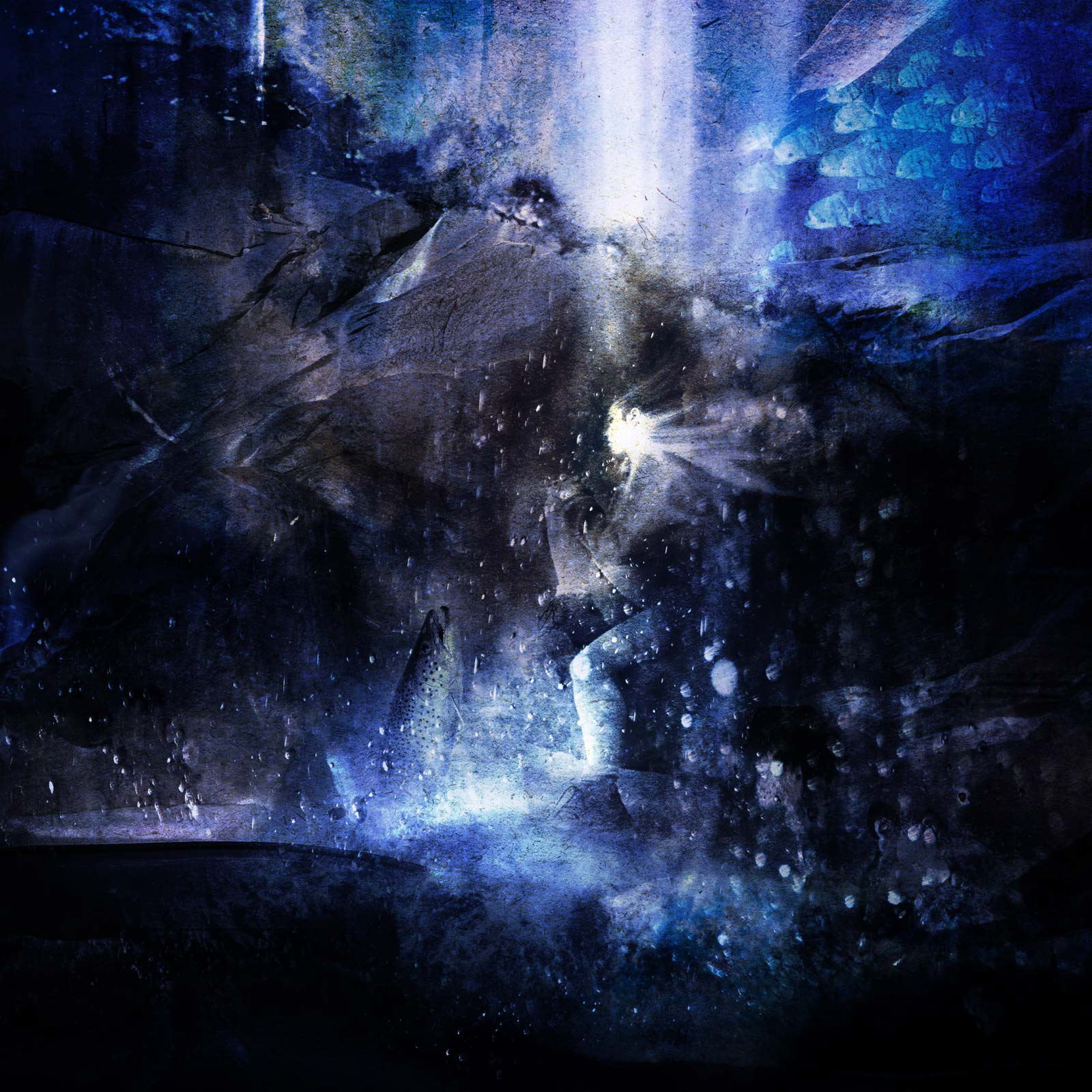 Songs of the ocean