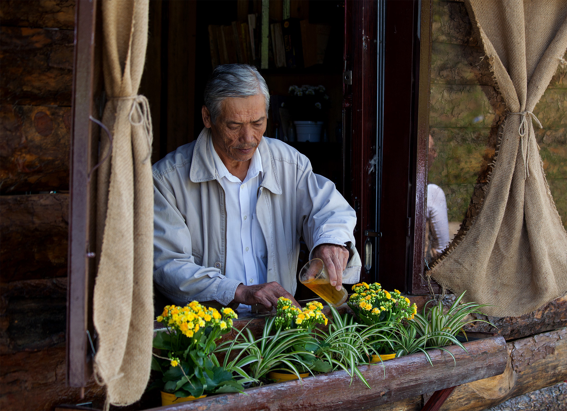 Da lat green tea