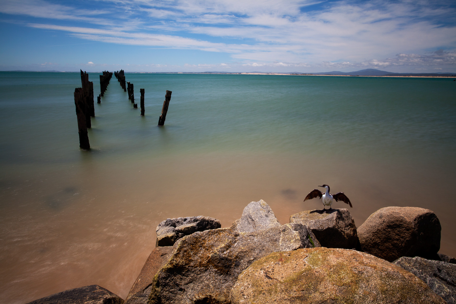 Bridport bathing