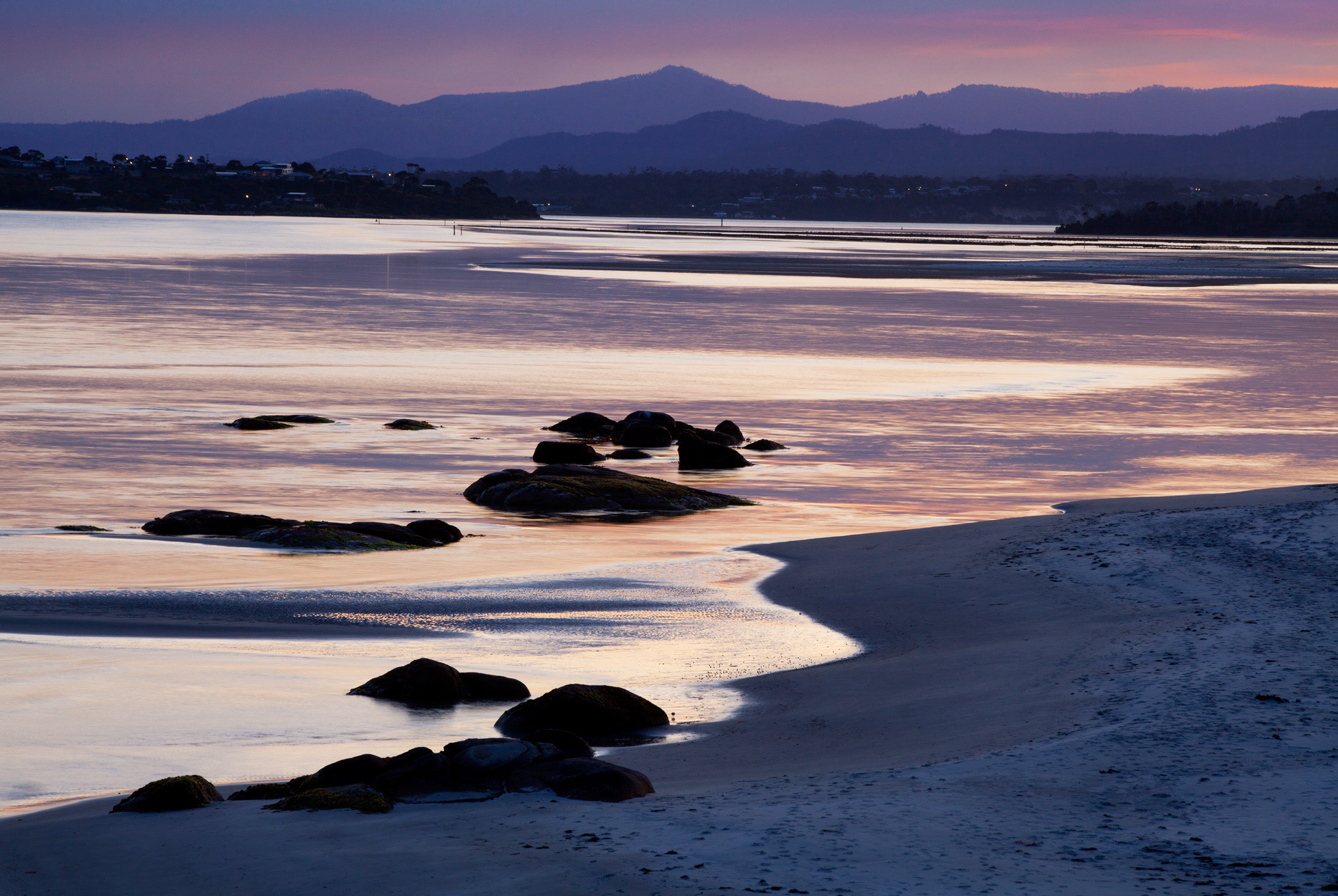 Tasmanian hues